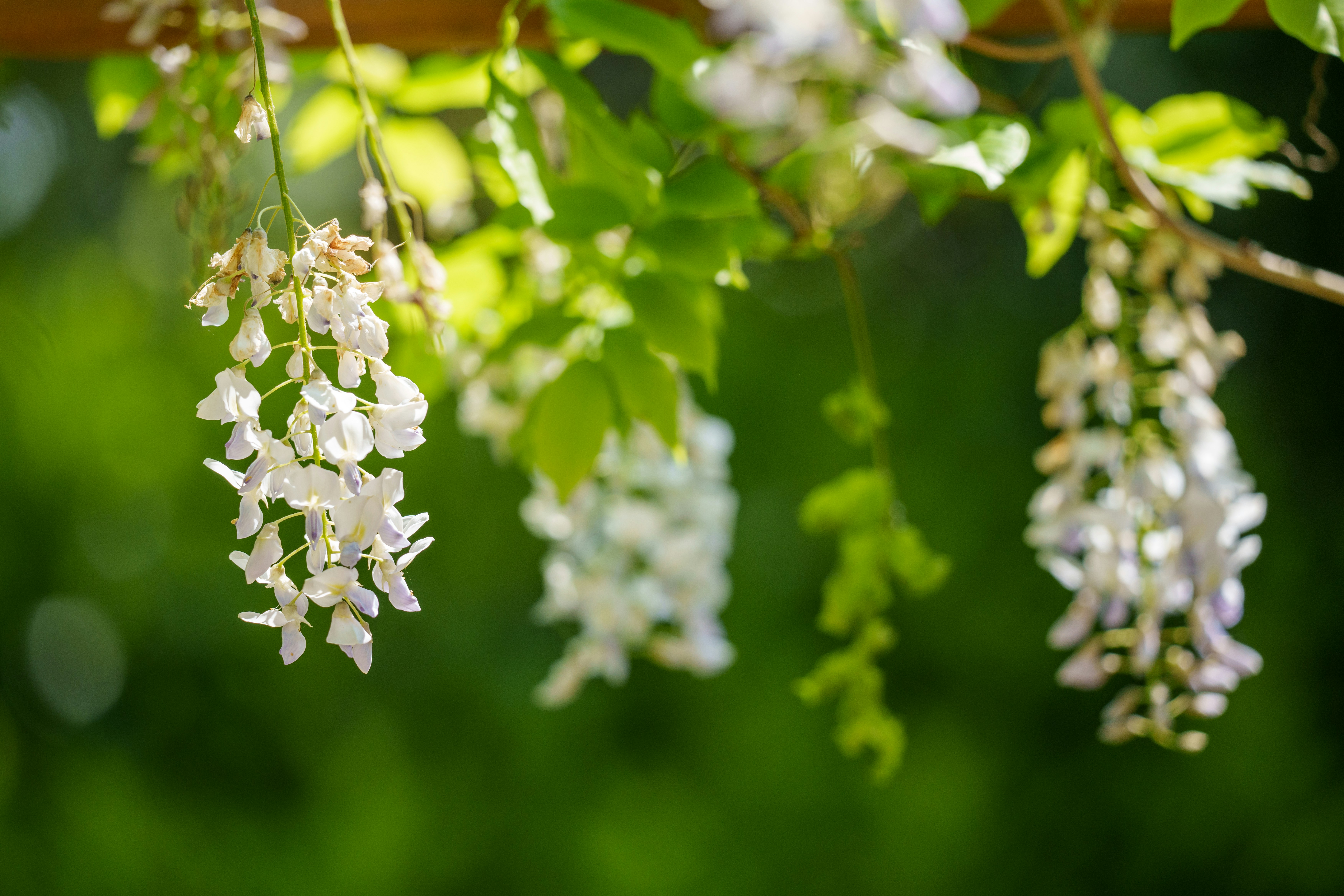 Photo by maverick2001