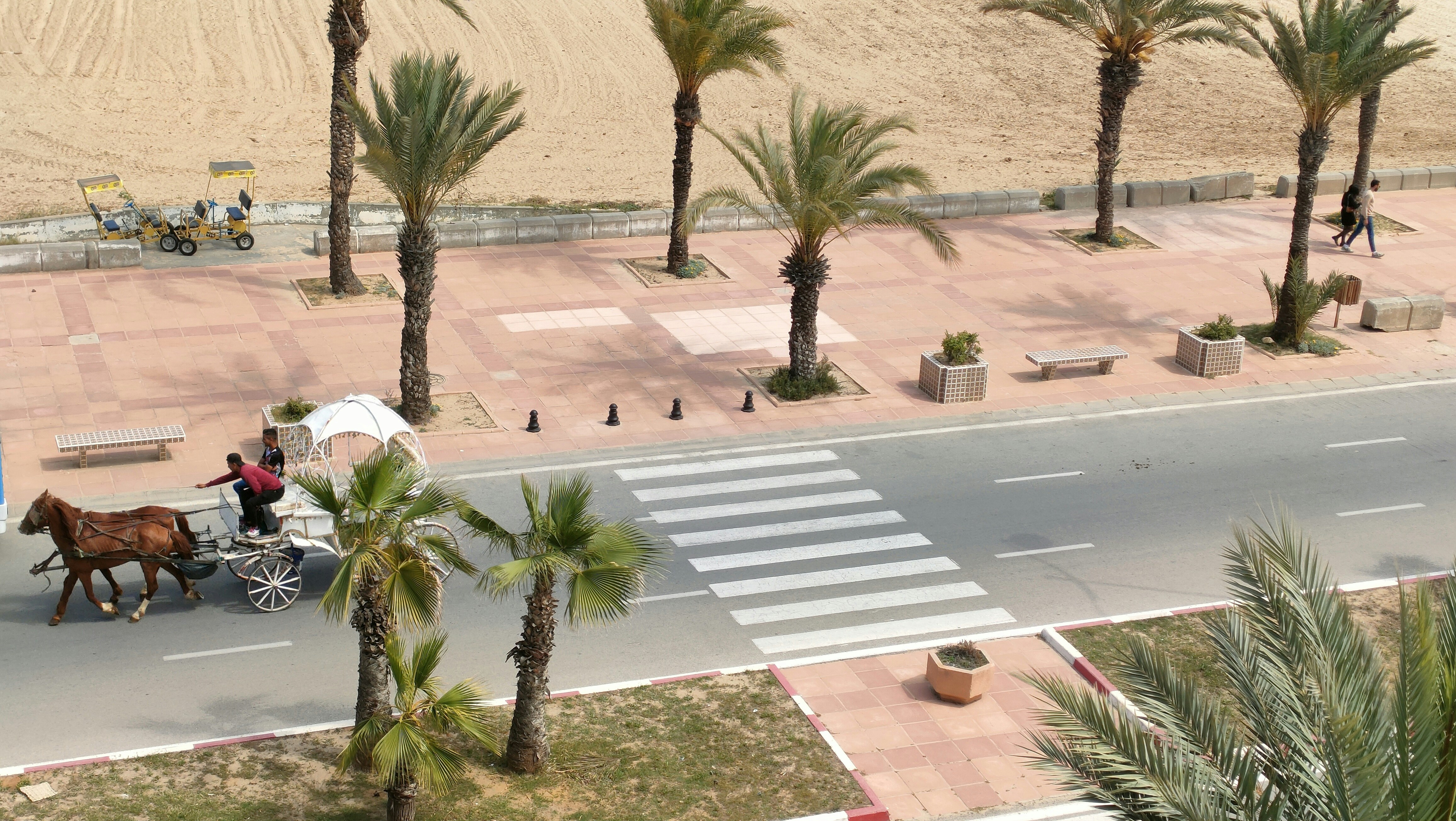 a horse drawn carriage traveling down a street next to palm trees