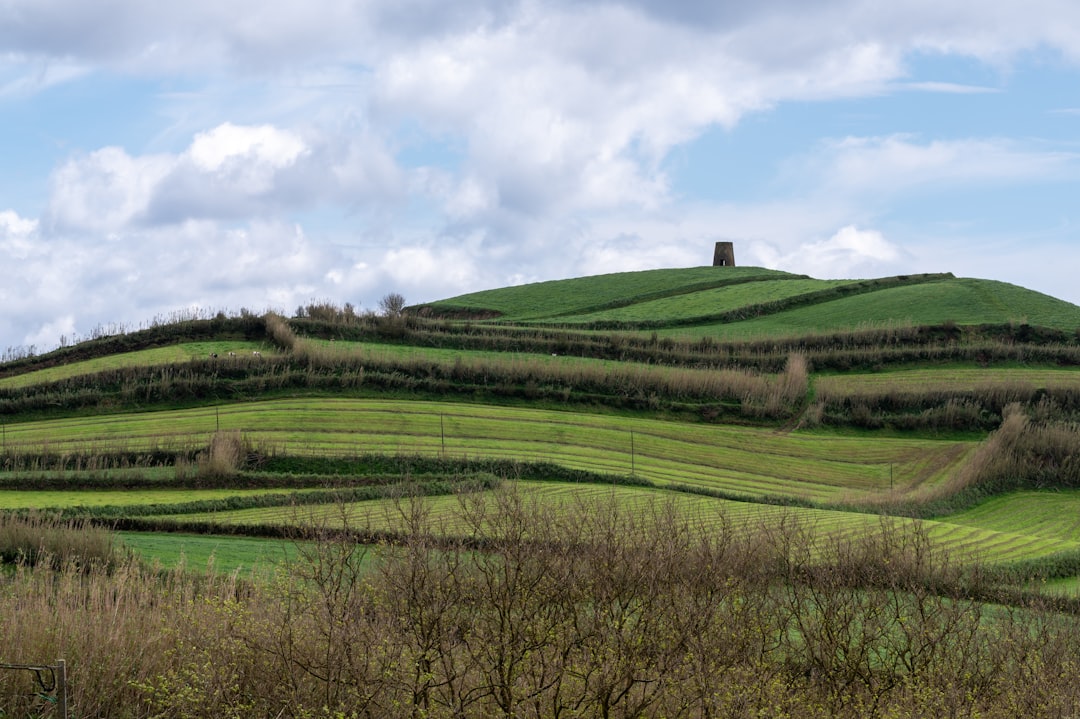 a grassy hill with a tower on top of it,