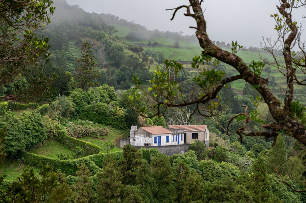 a house in the middle of a lush green hillside