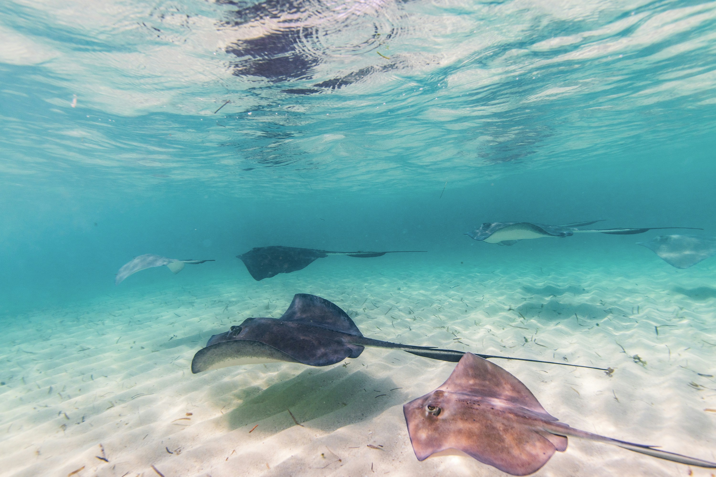 IMG-DEST-Victoria, British Columbia-5181