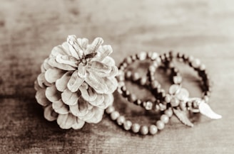 a close up of a pine cone on a table