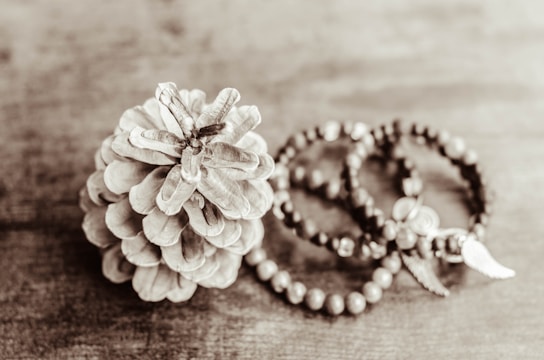 a close up of a pine cone on a table
