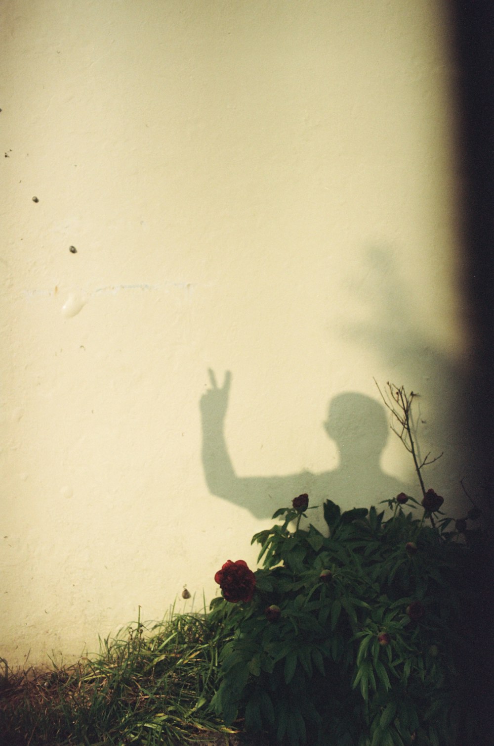 a shadow of a person on a wall