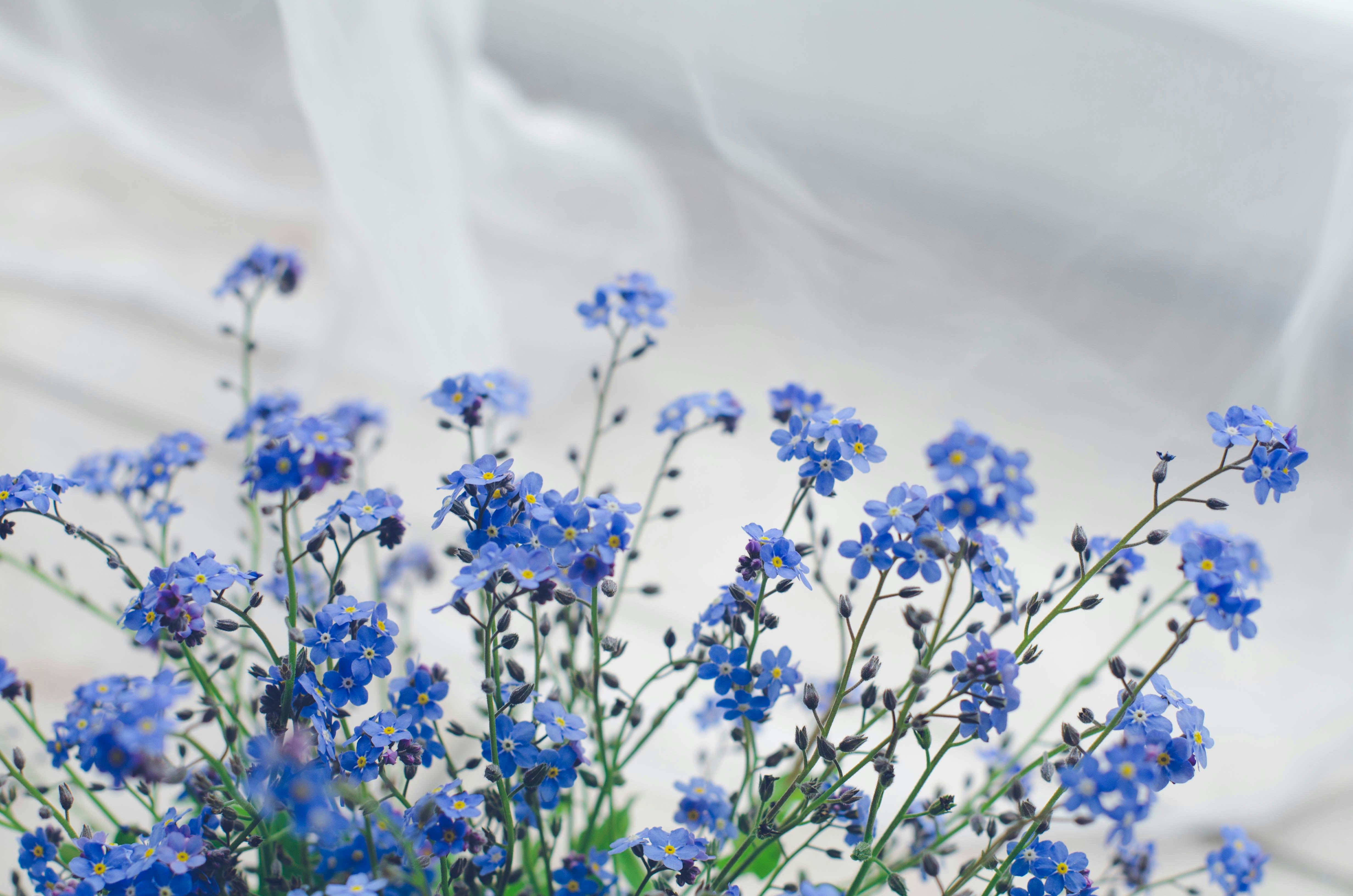 Photo by nika_benedictova