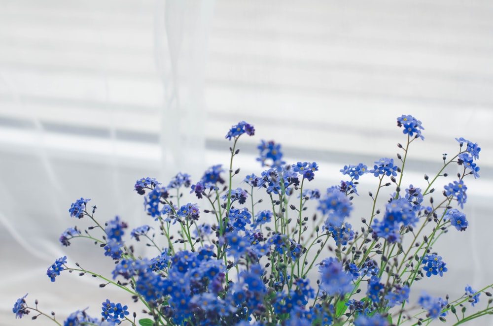 a vase filled with blue flowers next to a window