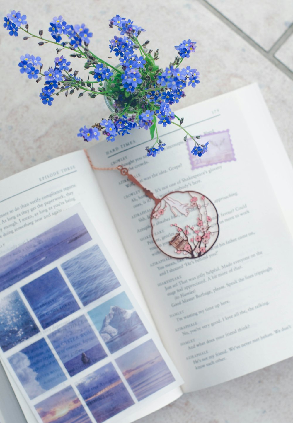 a book opened to a page with blue flowers in it