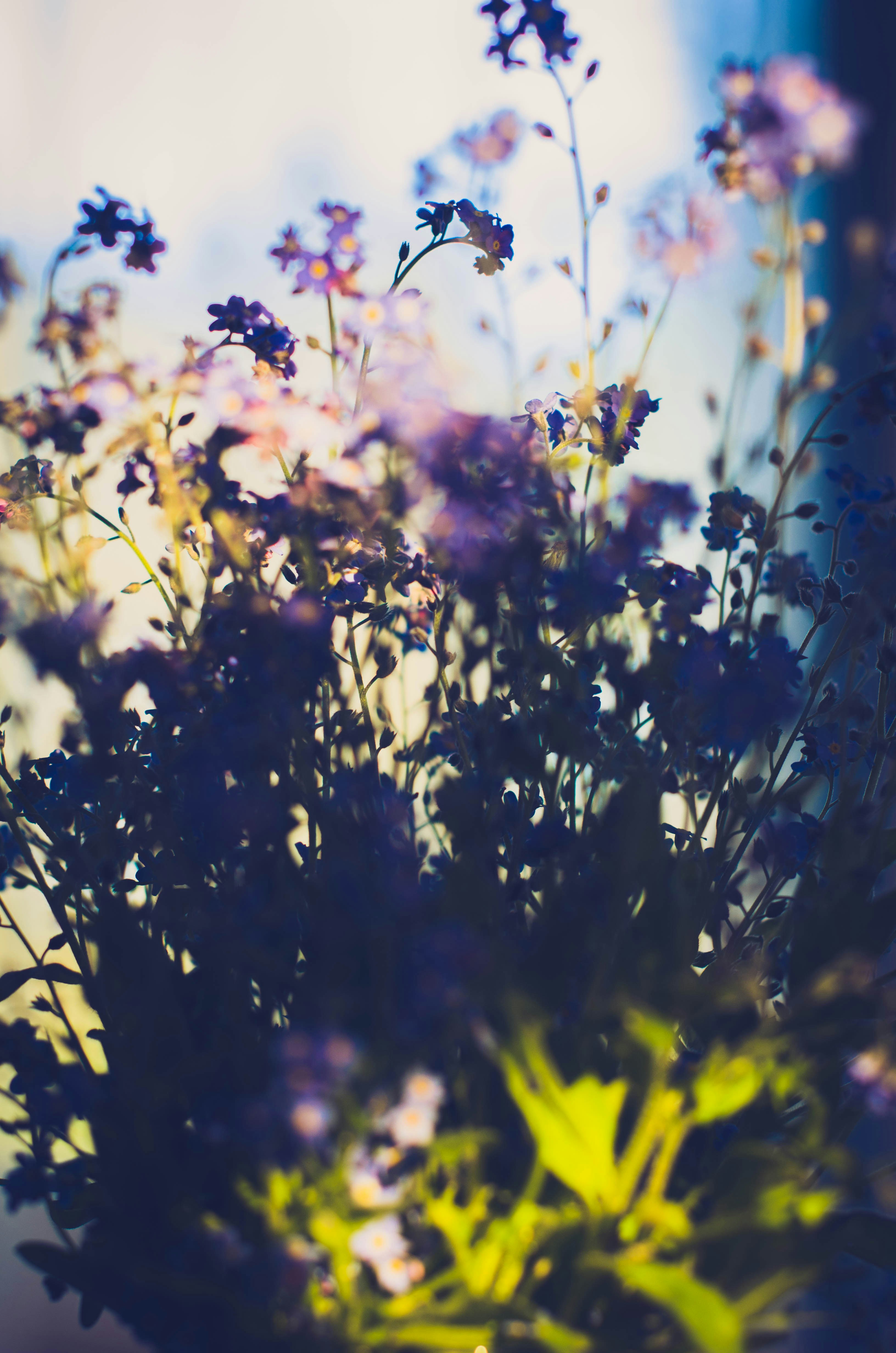 Photo by nika_benedictova