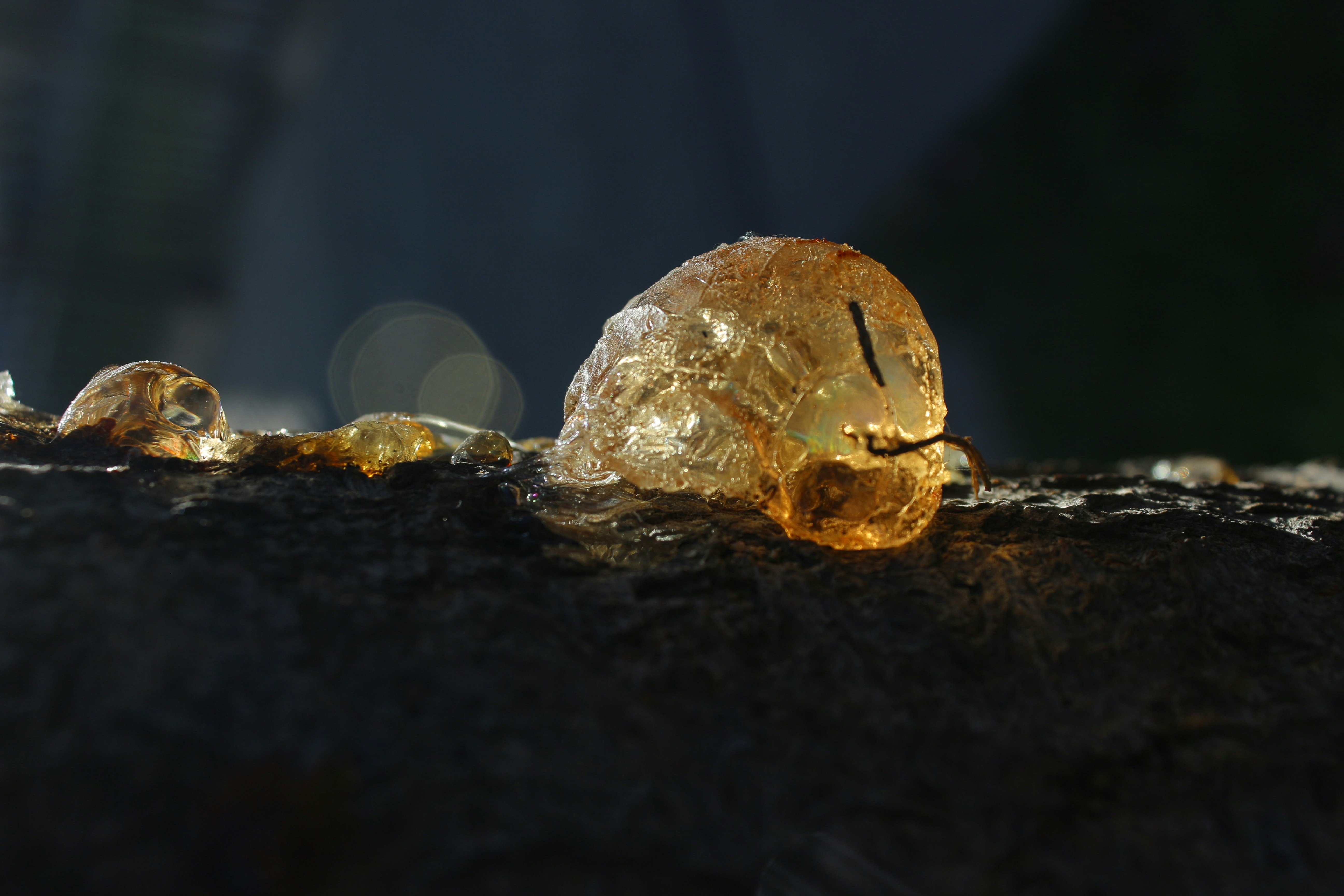 Photo by fran_taquionica