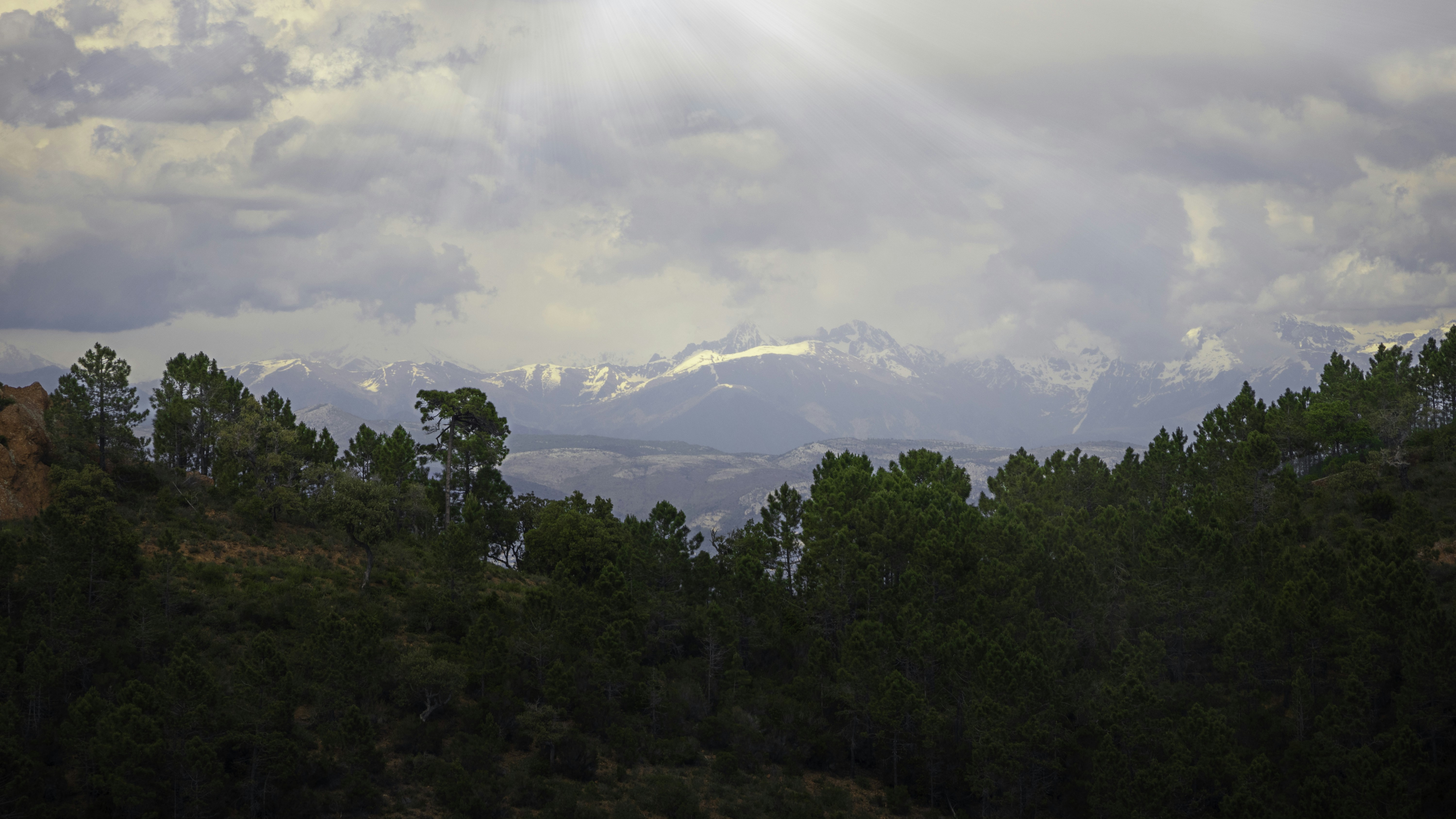 Photo by thomas_trnx