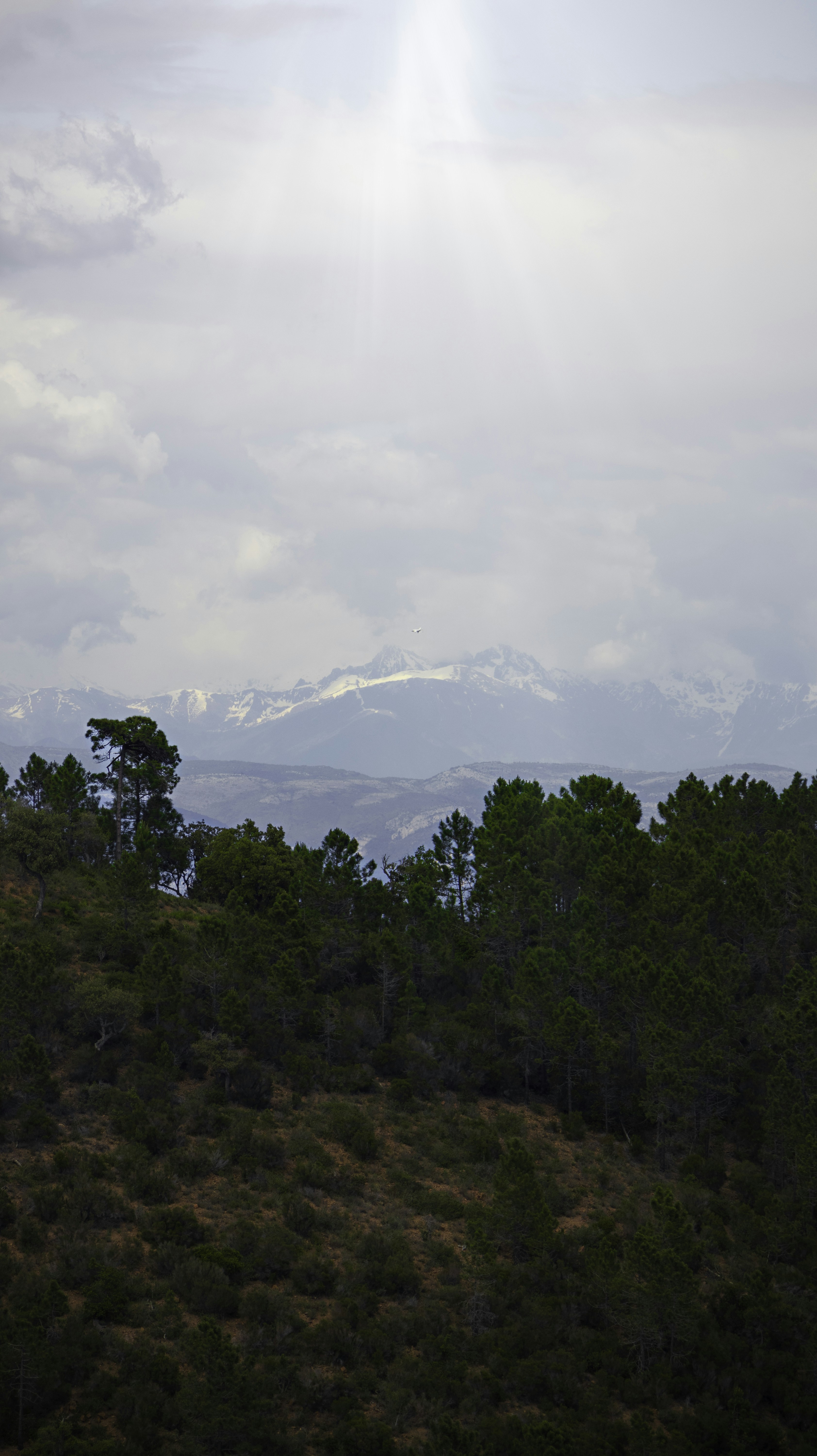 Photo by thomas_trnx