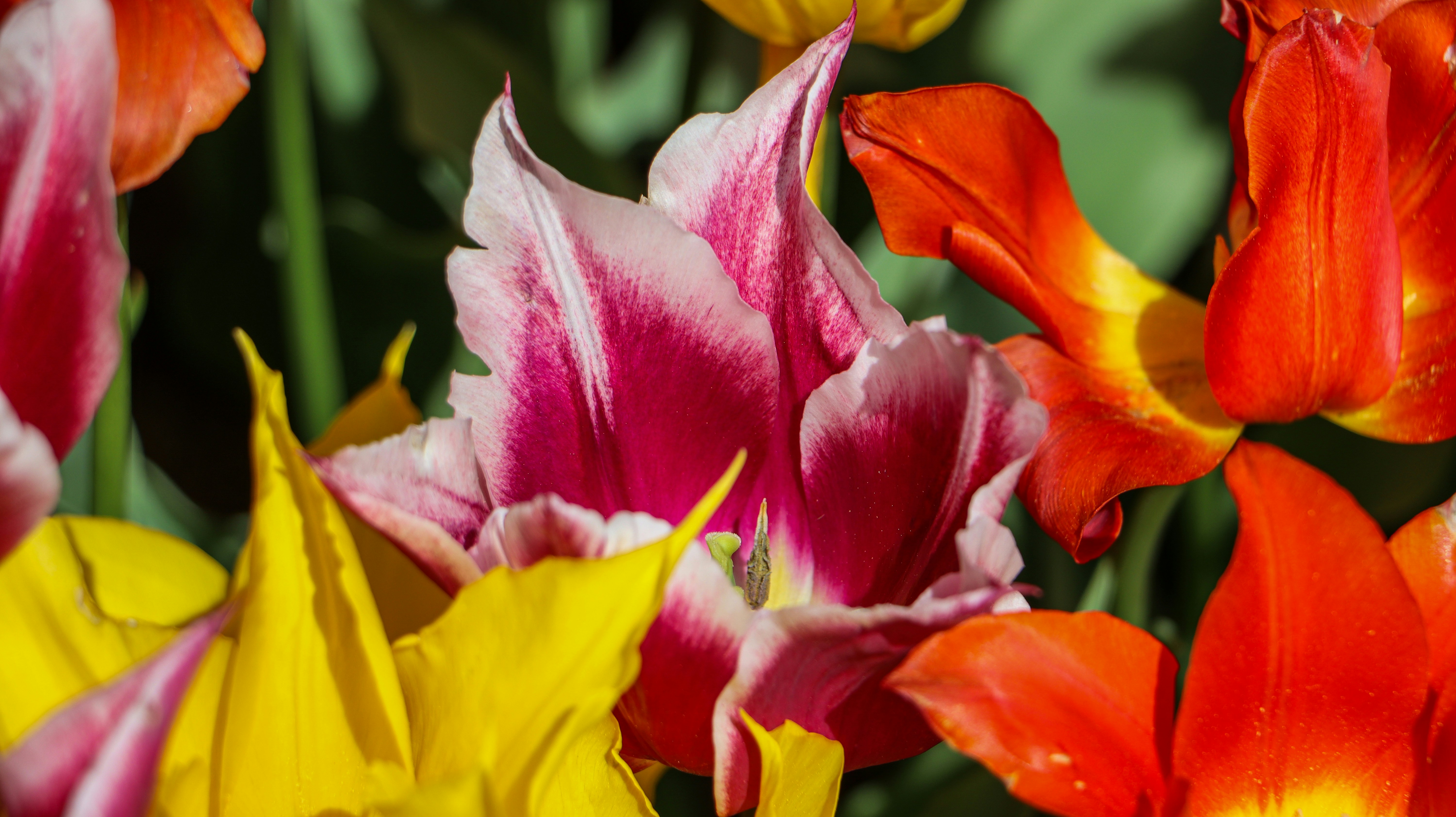 Photo by asliyarenpeker