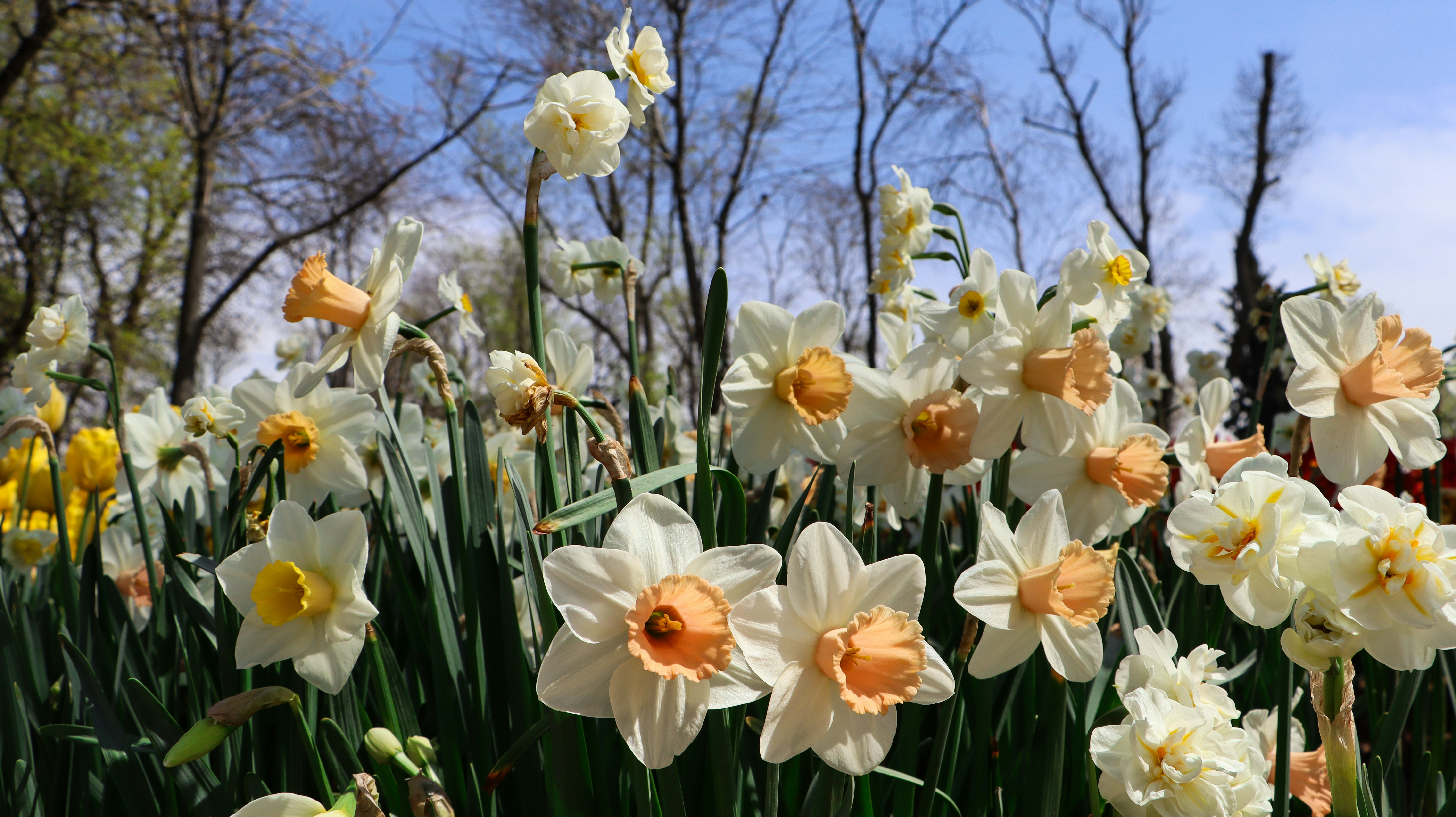 Photo by asliyarenpeker