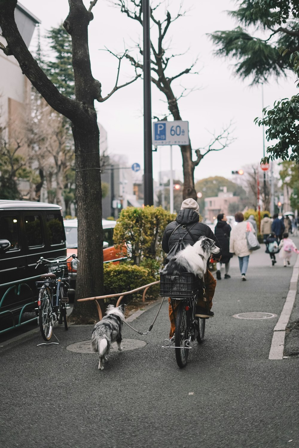 a person riding a bike with a dog on a leash