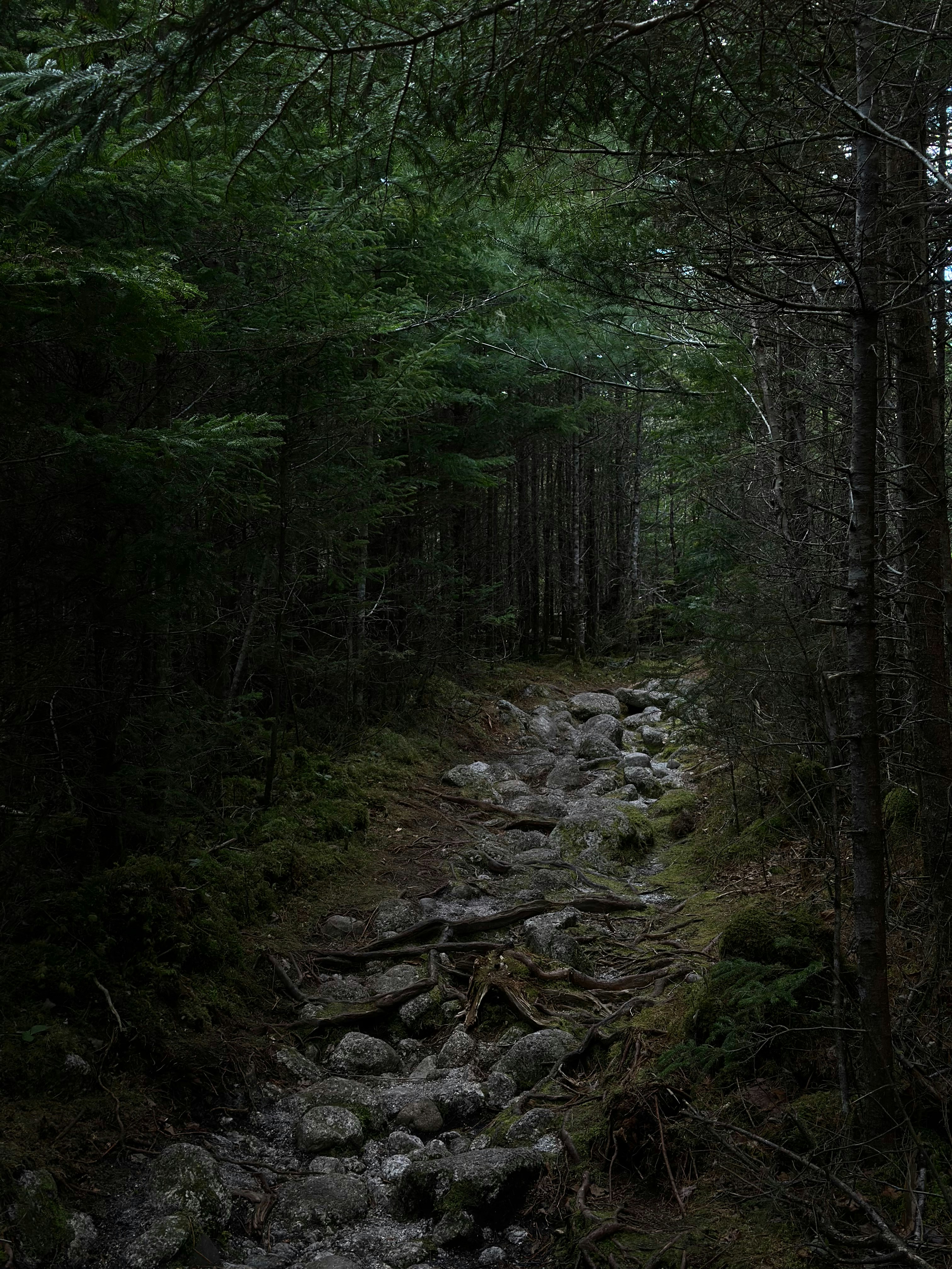 Photo by atul_panicker