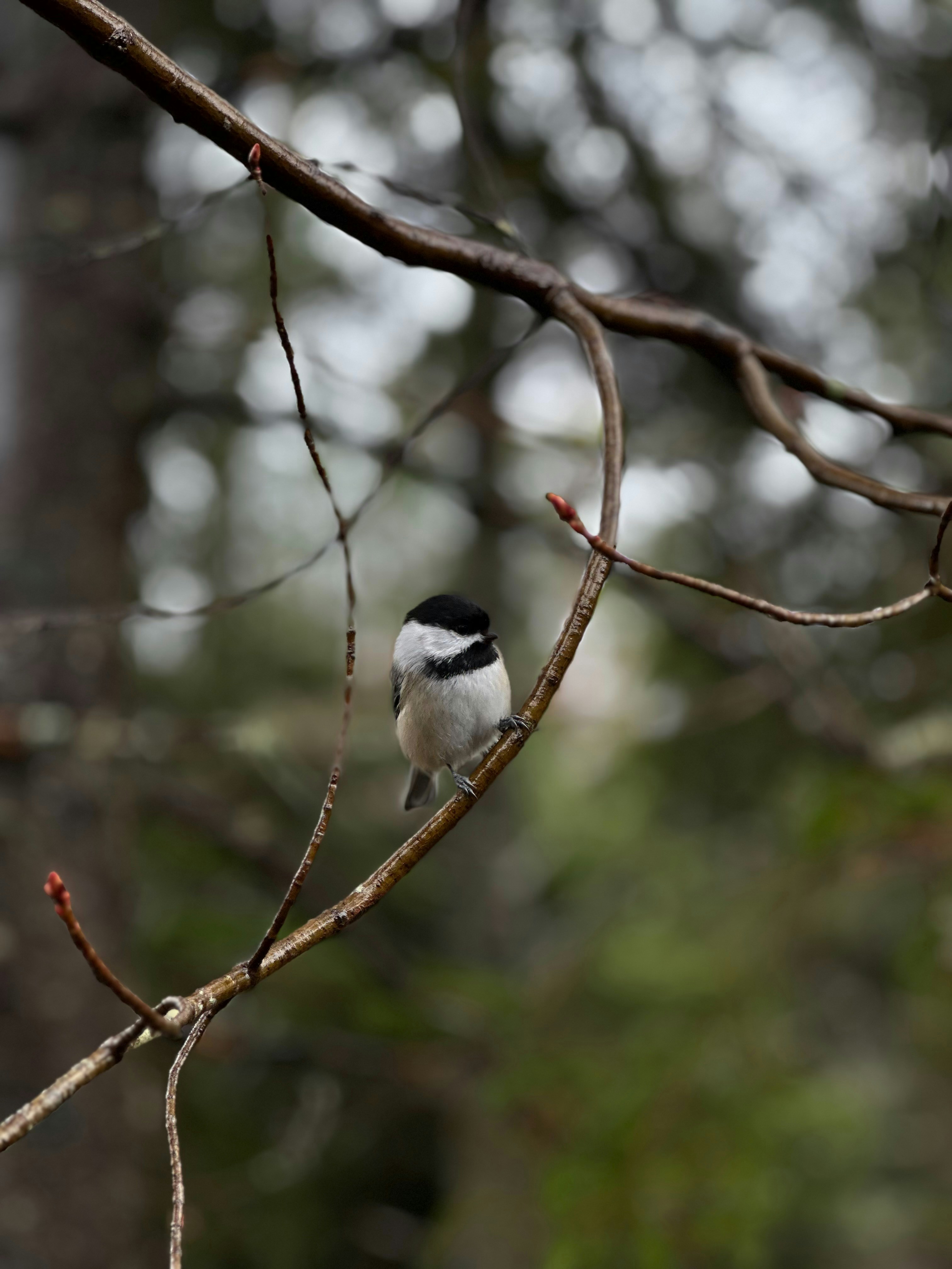 Photo by atul_panicker