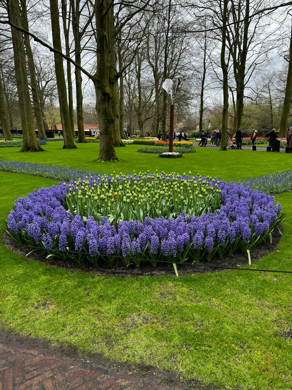 a circular flower bed in the middle of a park