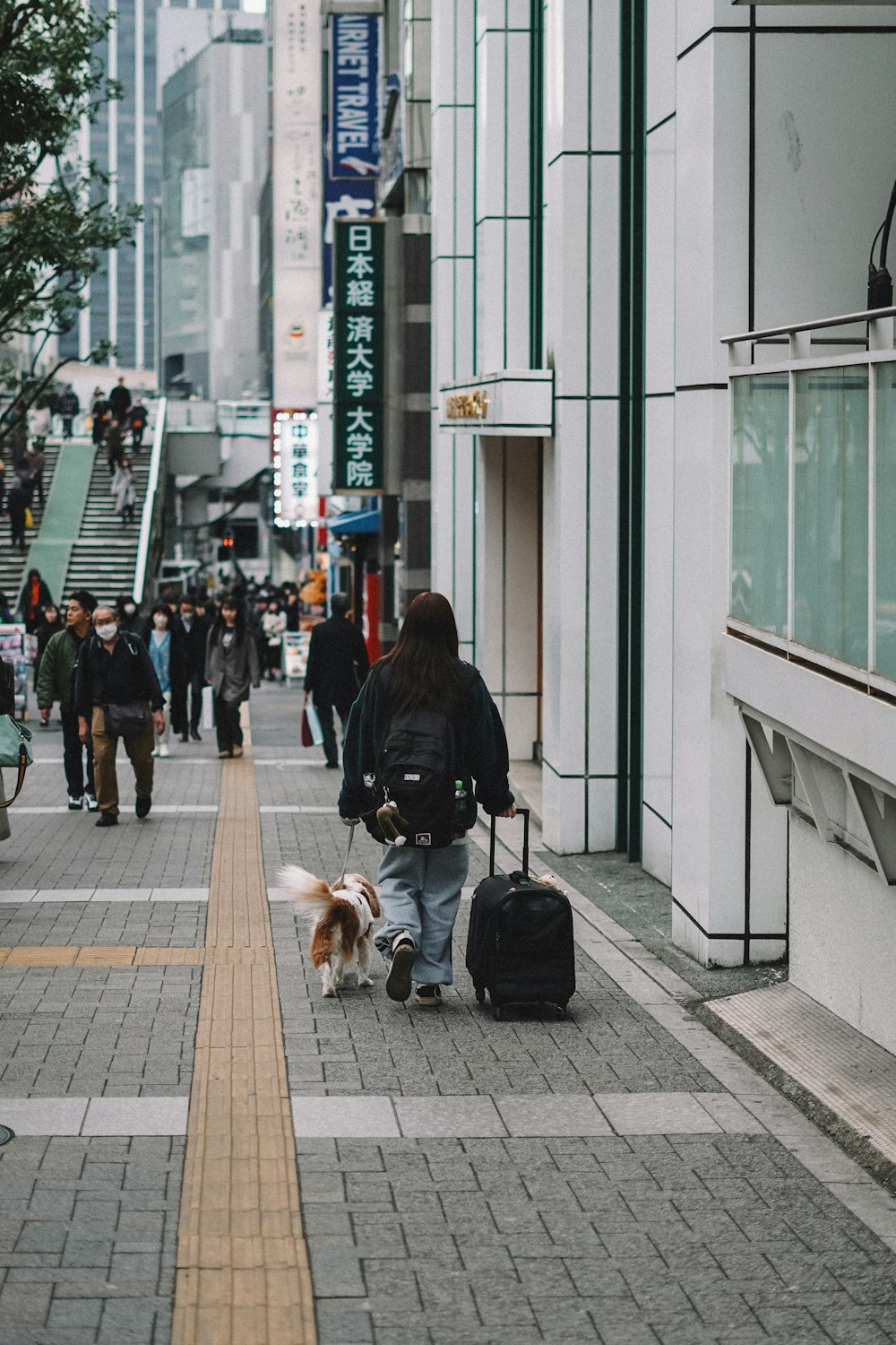 a woman walking down a street with a dog