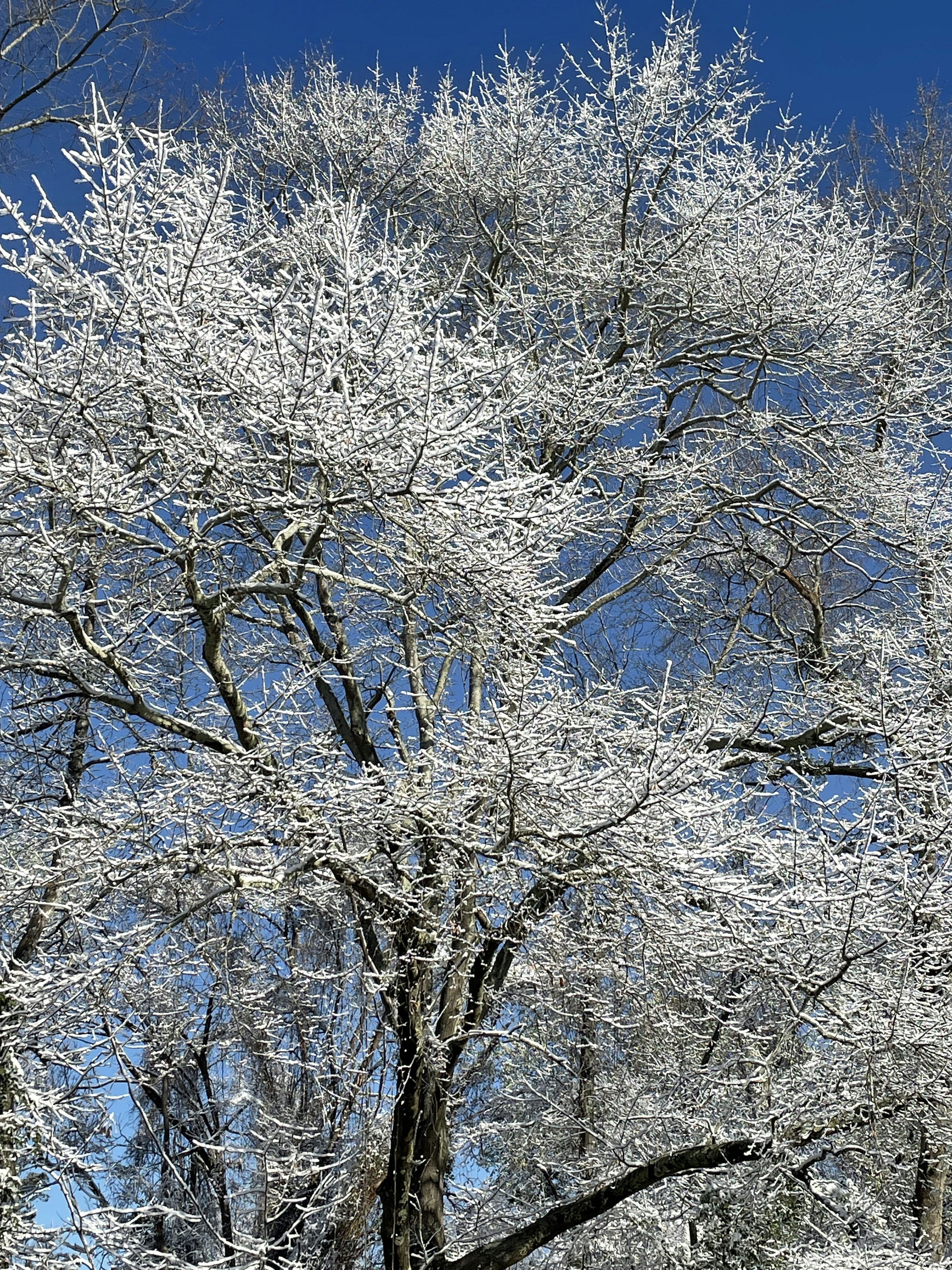 Photo by isaacawardell