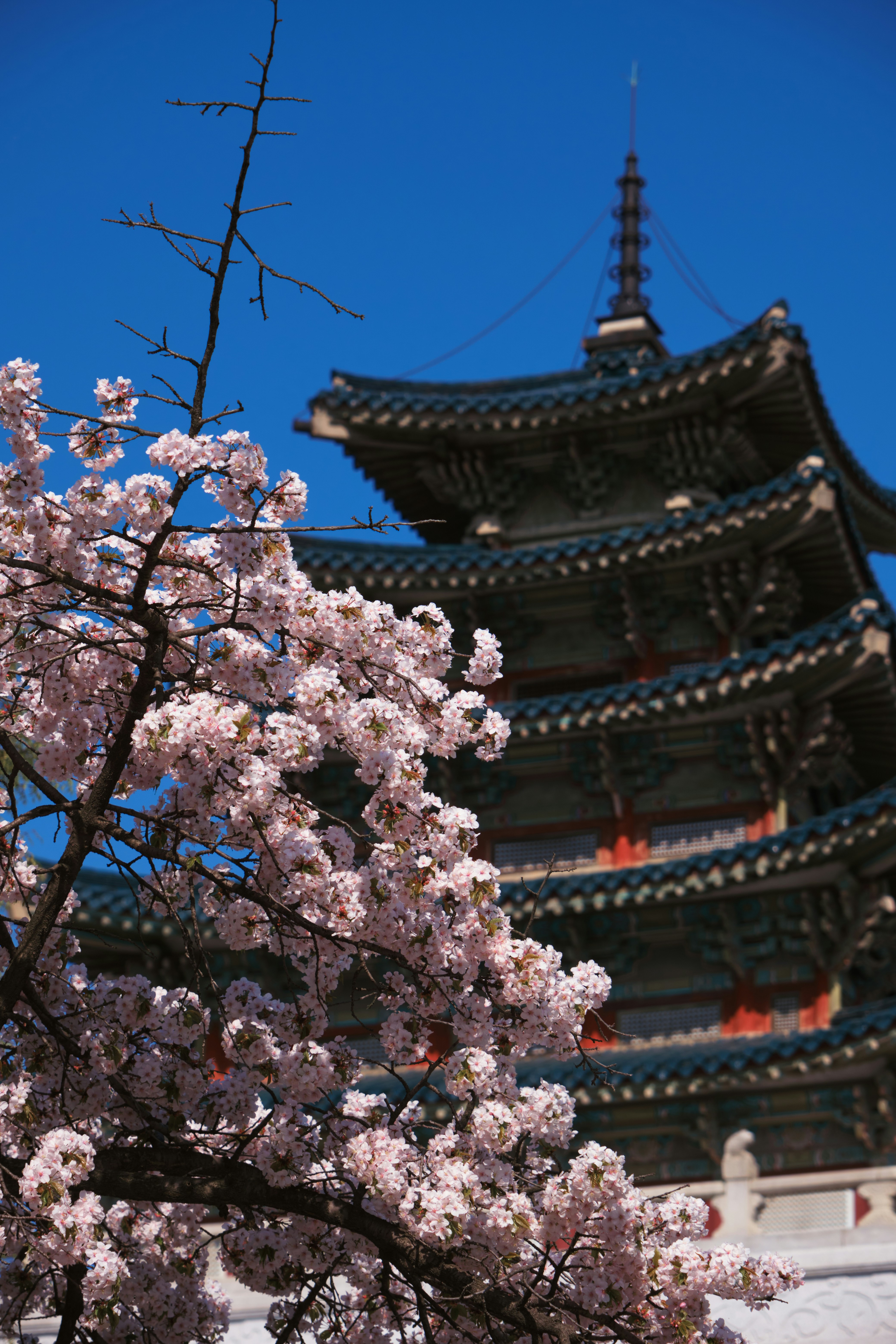 Photo by oguzhantasimaz