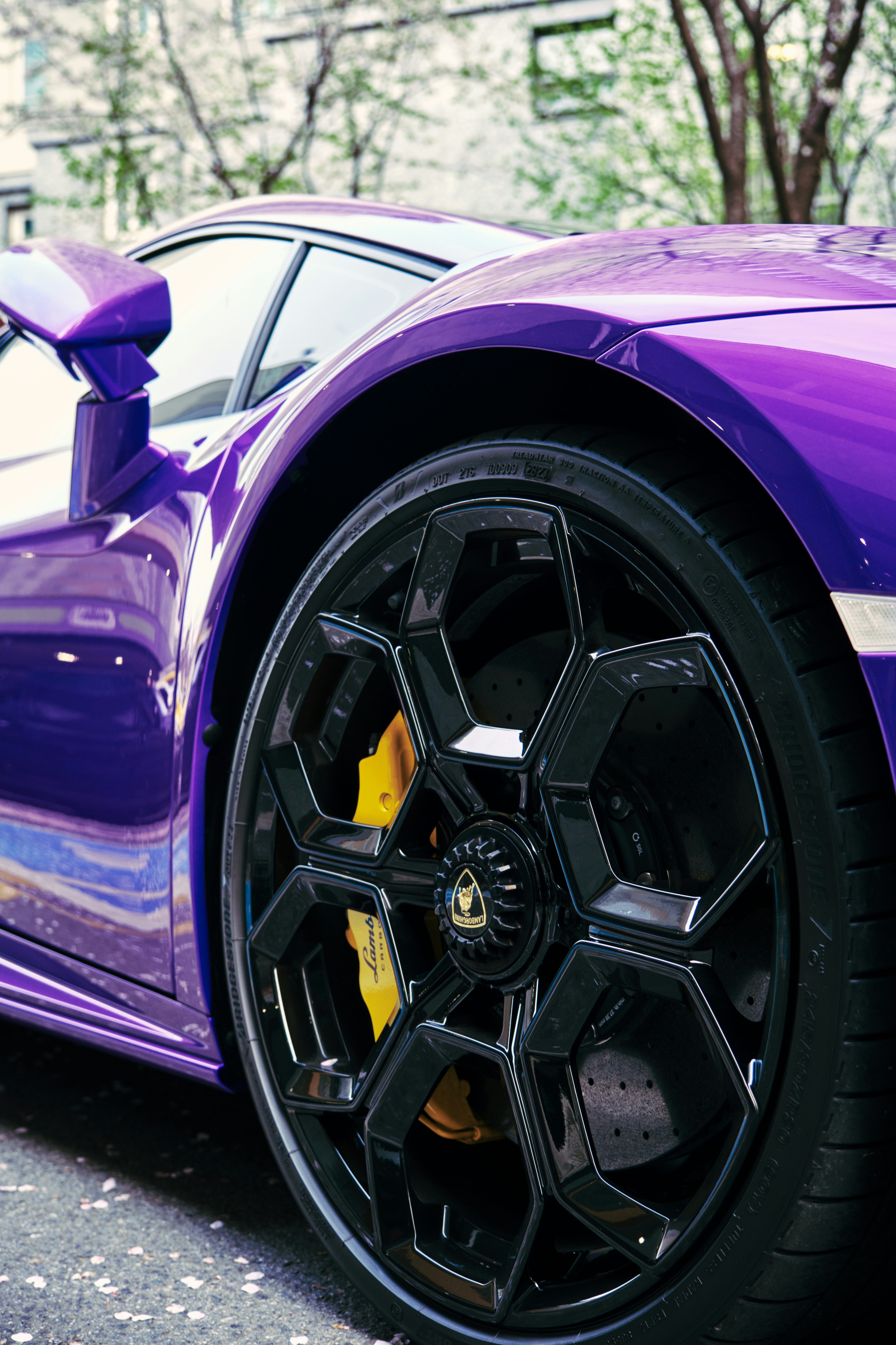 Photo by oguzhantasimaz