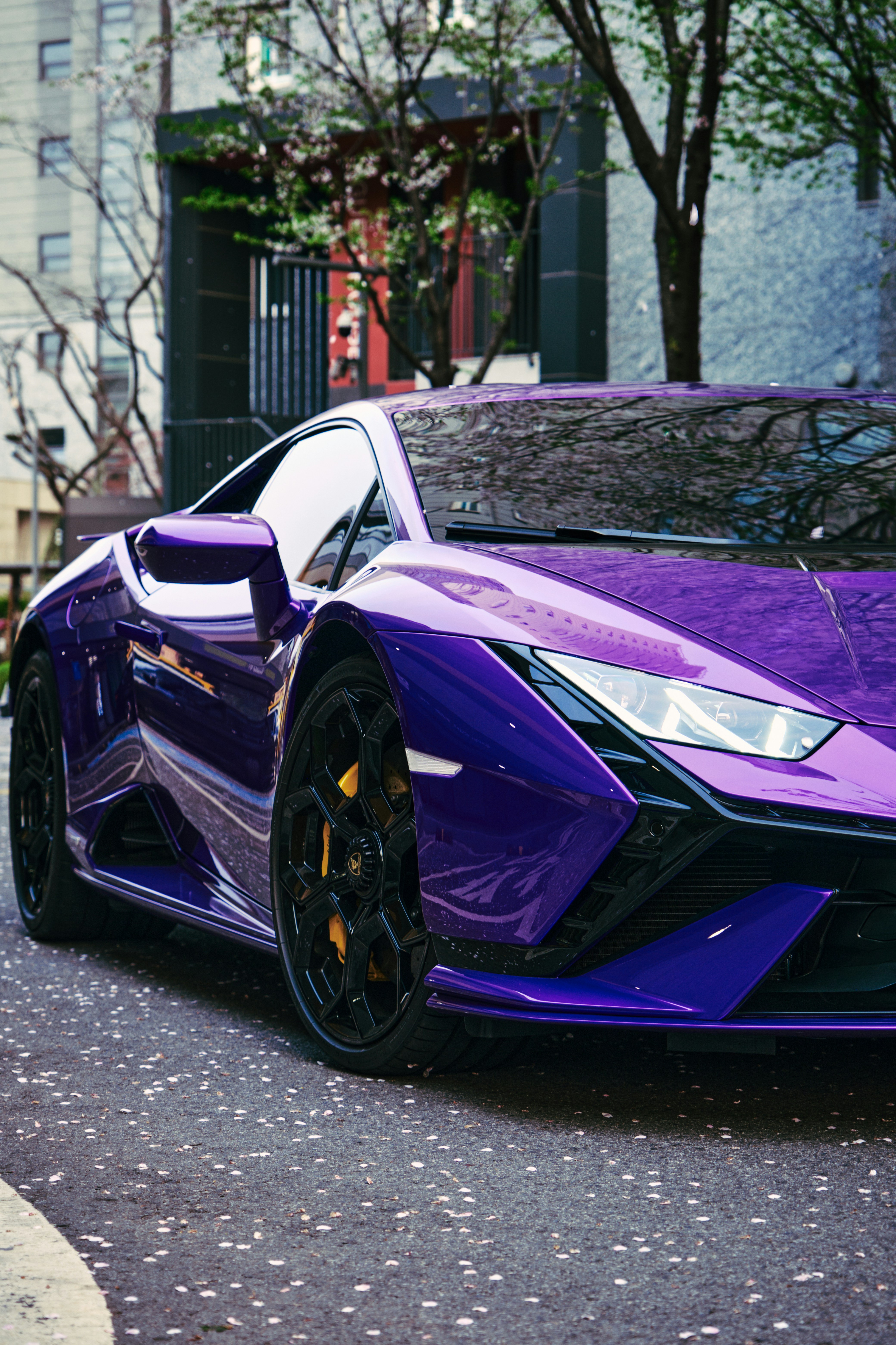 Photo by oguzhantasimaz