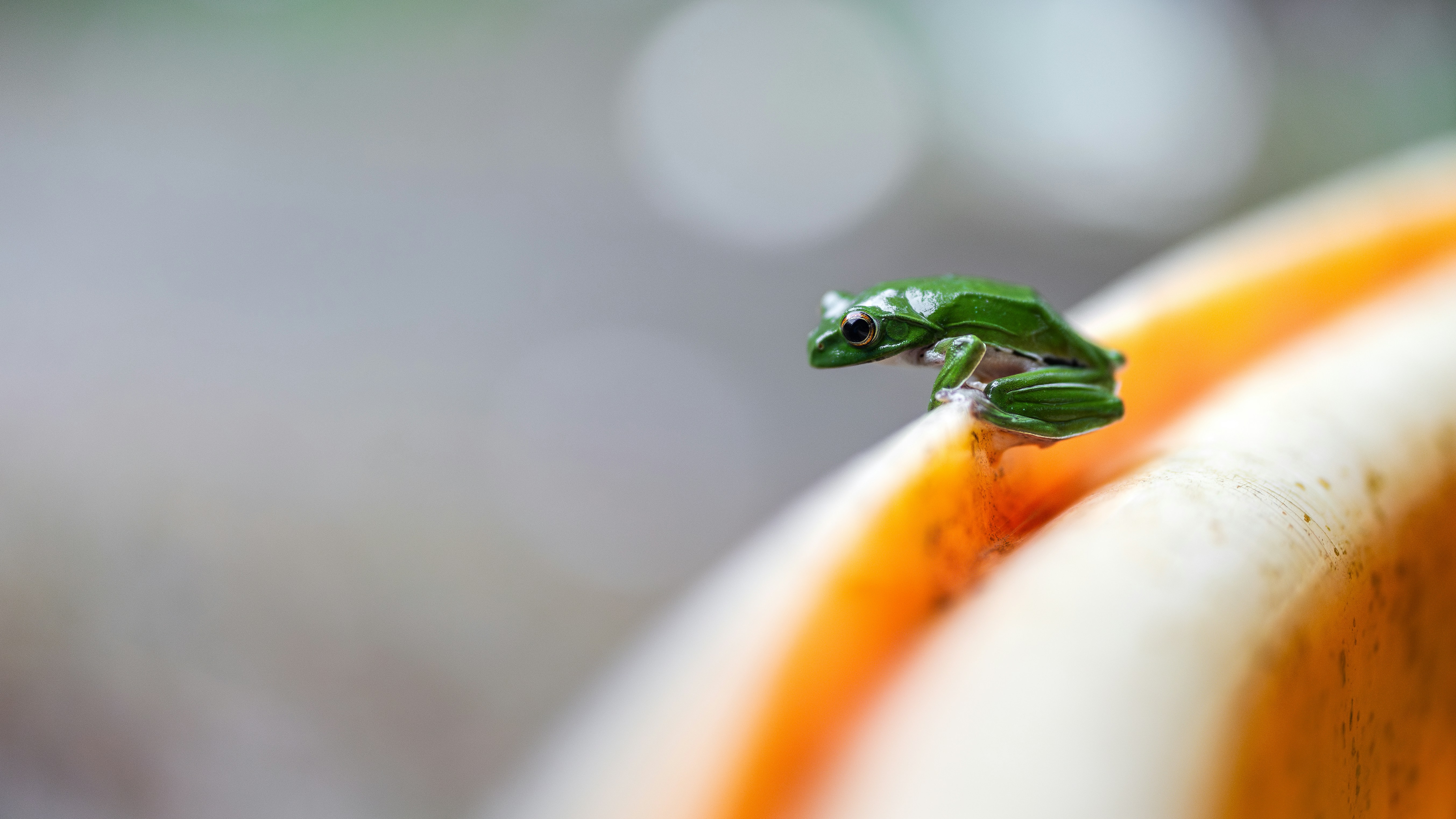 Photo by marekpiwnicki