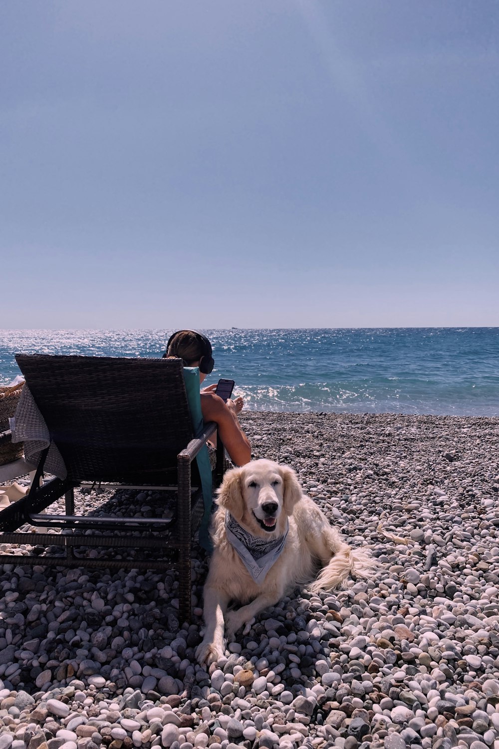 a person sitting on a beach with a dog