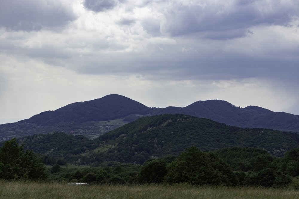 a grassy field with mountains in the background