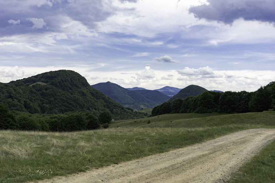 The image depicts a serene landscape with a dirt road winding through a lush, green valley. The road is surrounded by an abundance of trees and shrubs on both sides, creating a sense of depth and tranquility. In the distance, majestic mountains rise against the sky, their peaks touching the clouds. The scene is bathed in soft light, casting long shadows and highlighting the textures of the natural elements.