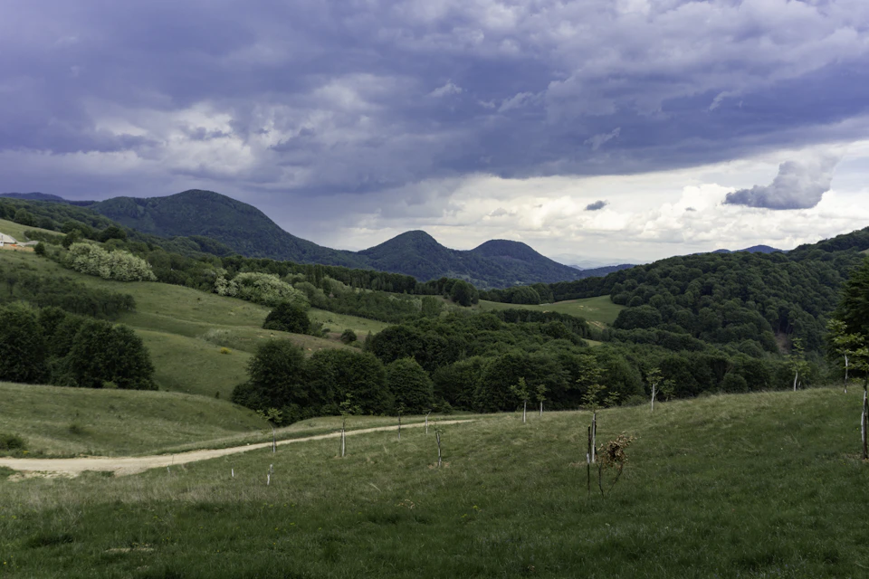 The image depicts a serene landscape with rolling hills and mountains in the background, under an overcast sky. The green grass on the ground contrasts with the gray clouds above. In the foreground, there is a dirt path leading towards the mountains. A small wooden bench can be seen near the edge of the field, providing a place to sit and enjoy the view.