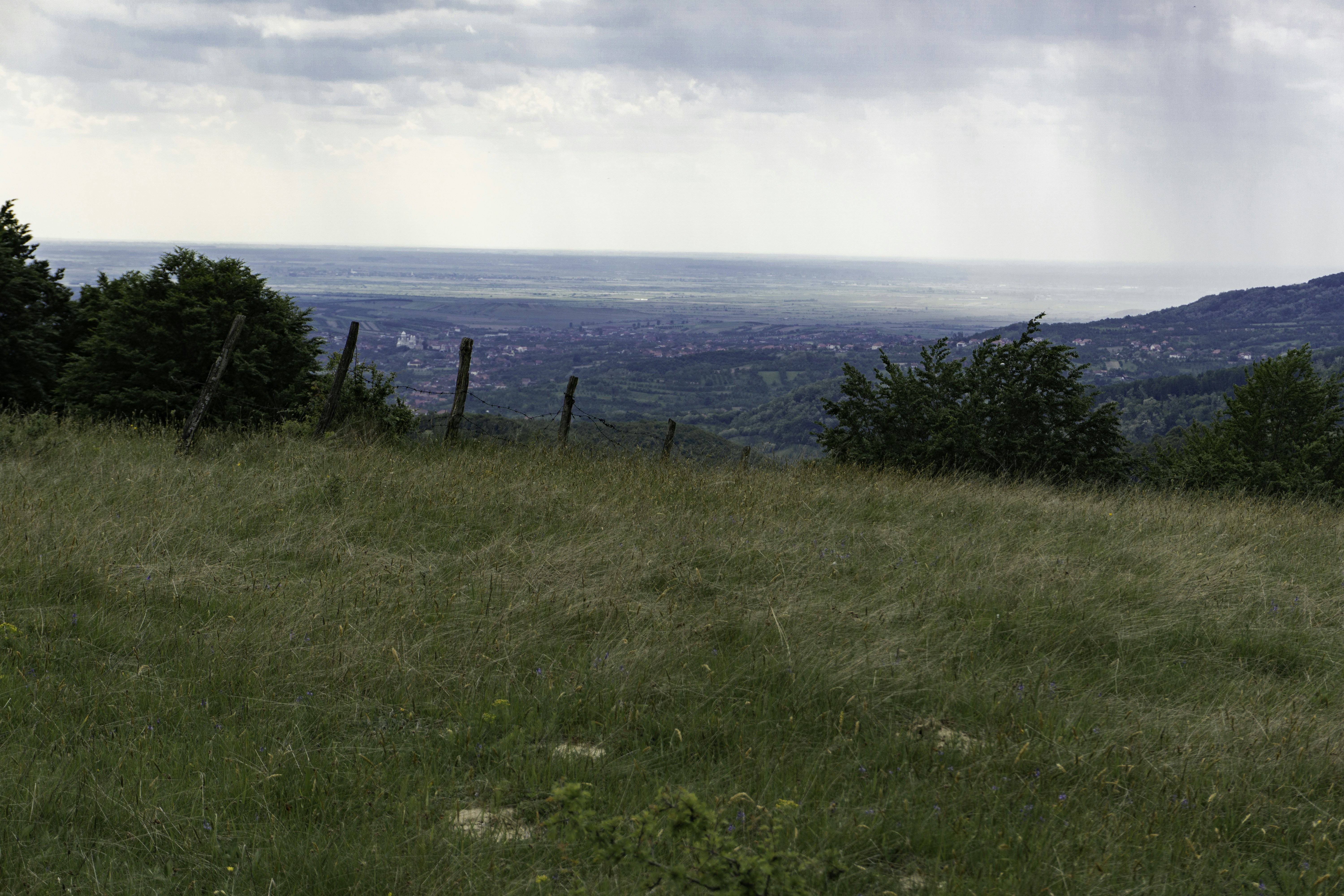 Photo by l_v_razvan