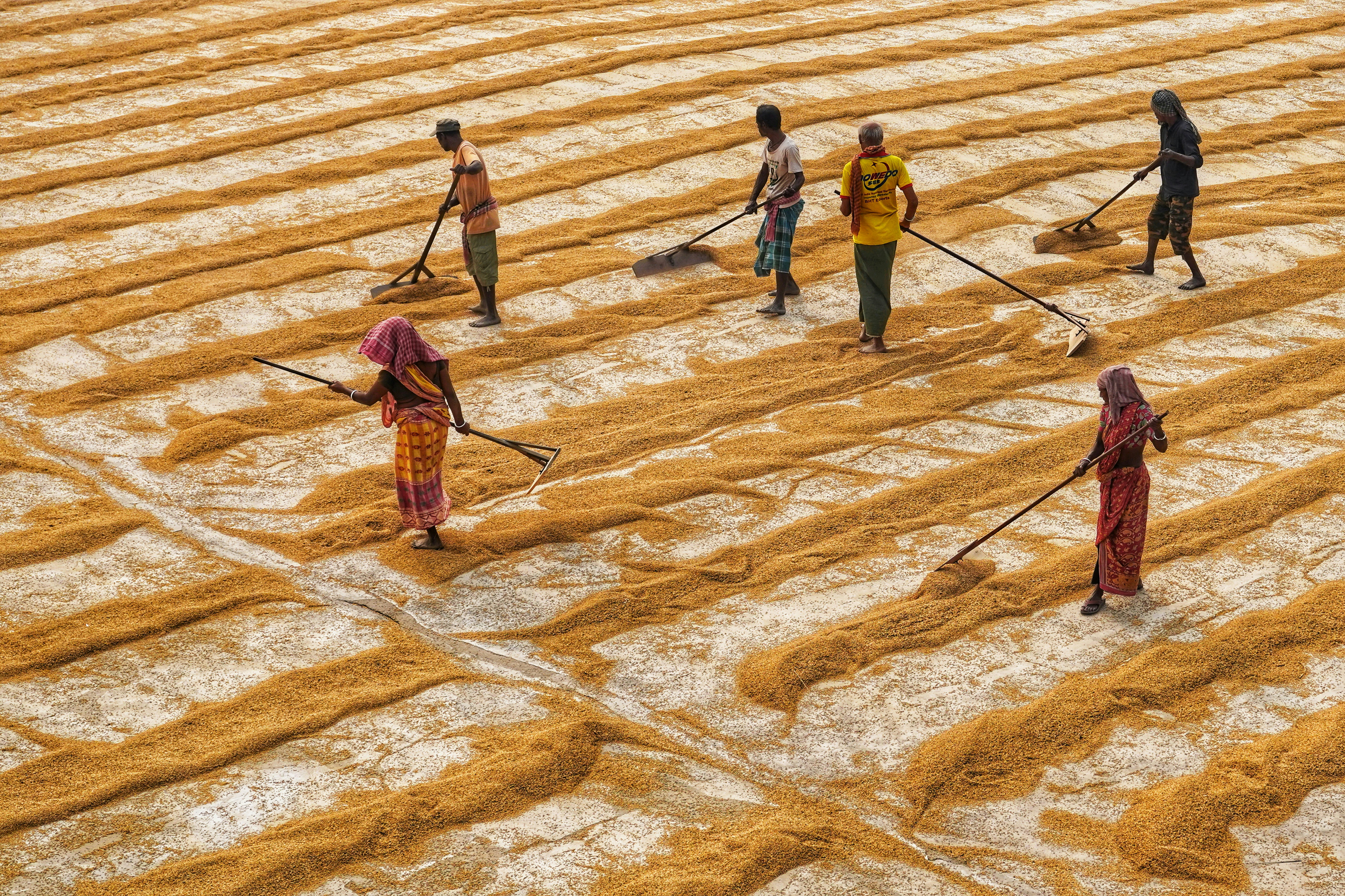 Photo by dibakar16roy