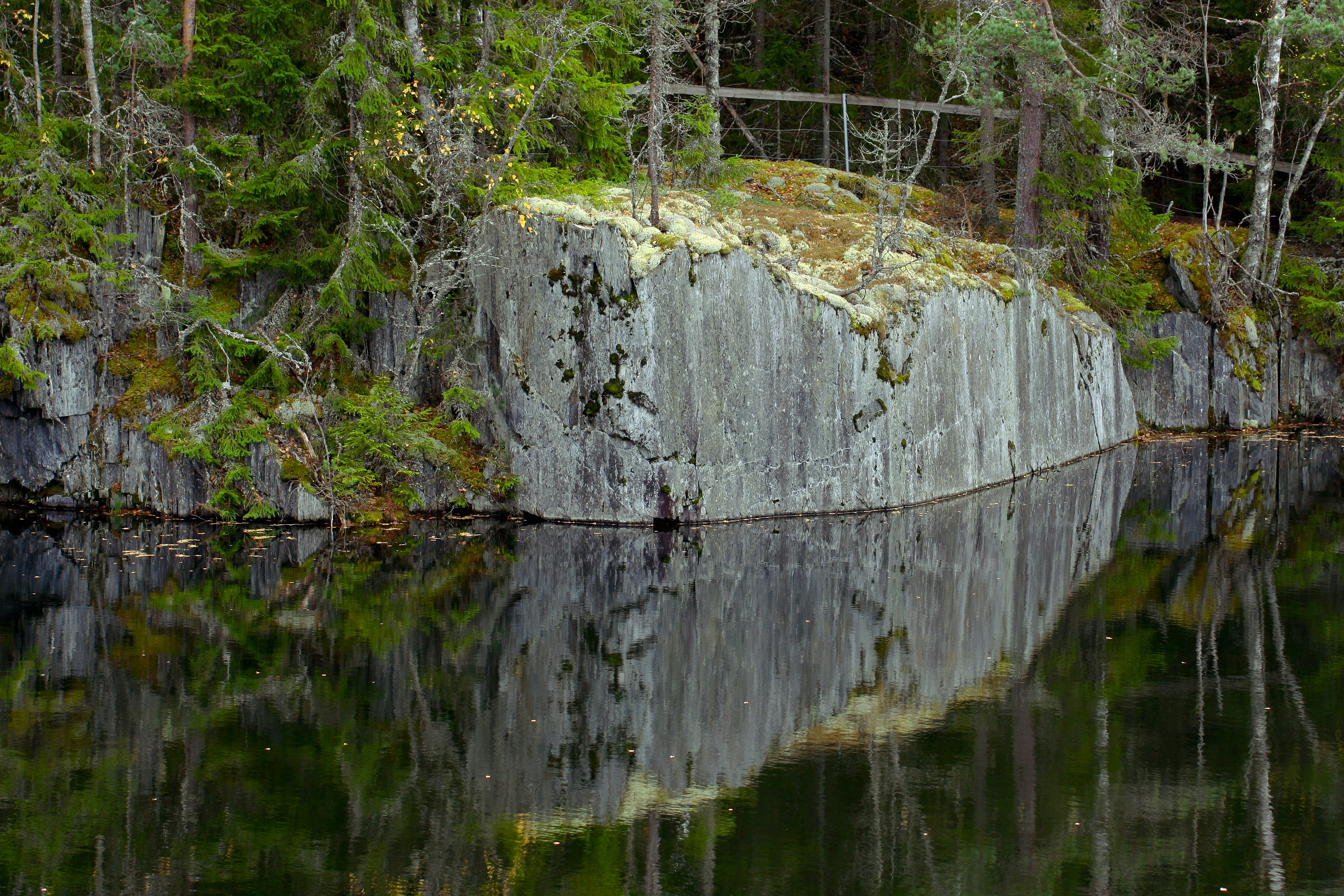 a body of water surrounded by trees and a bridge