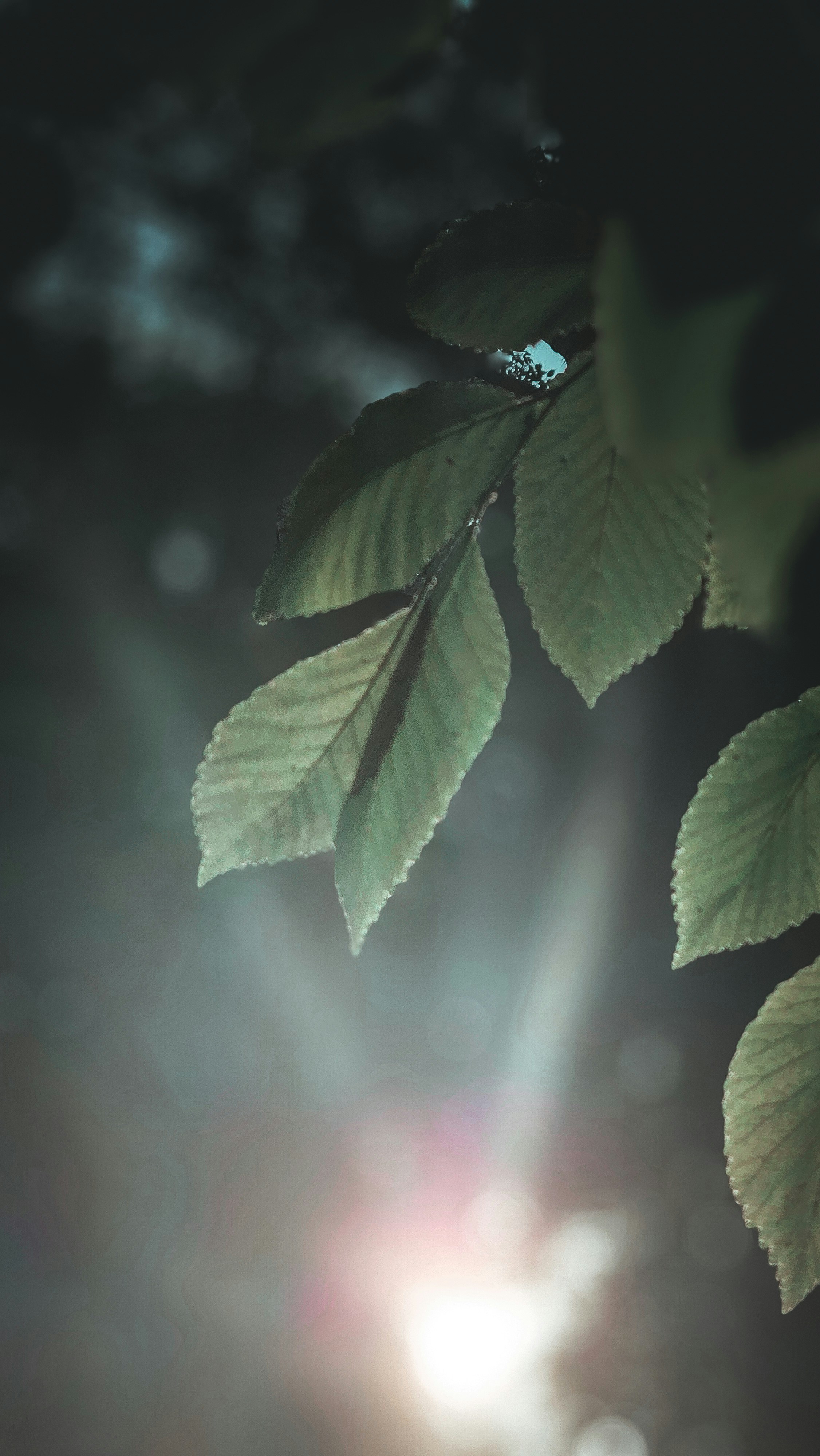 Photo by farzadmohamadi