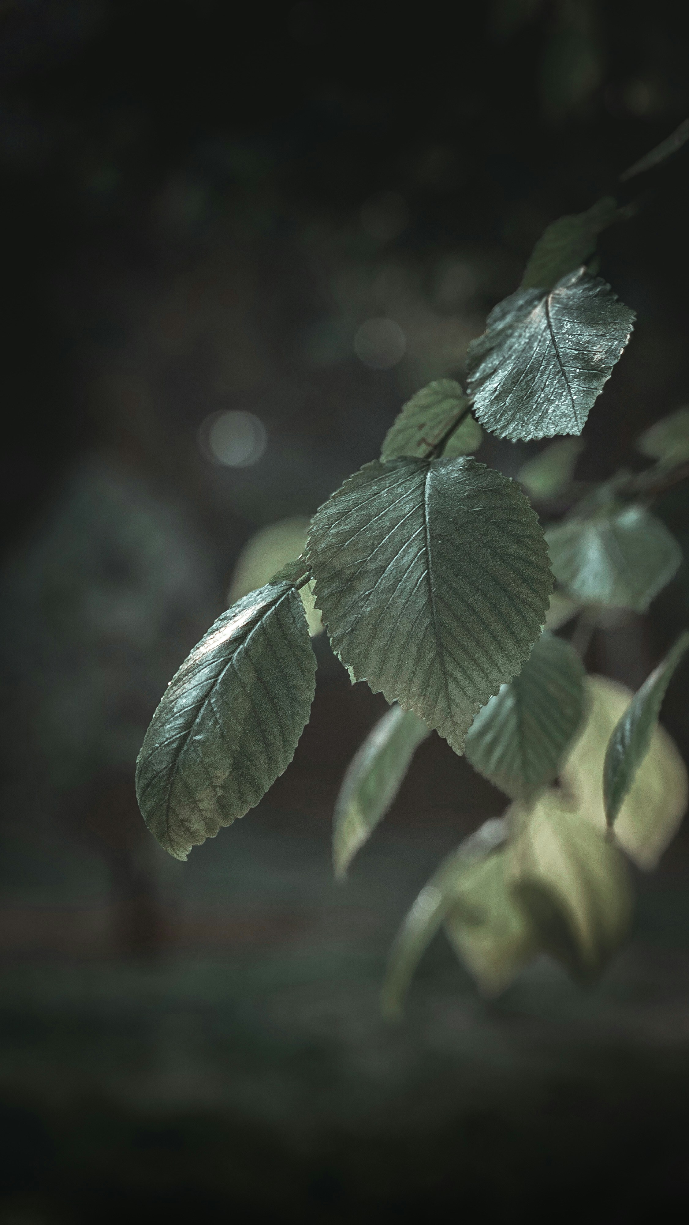 Photo by farzadmohamadi