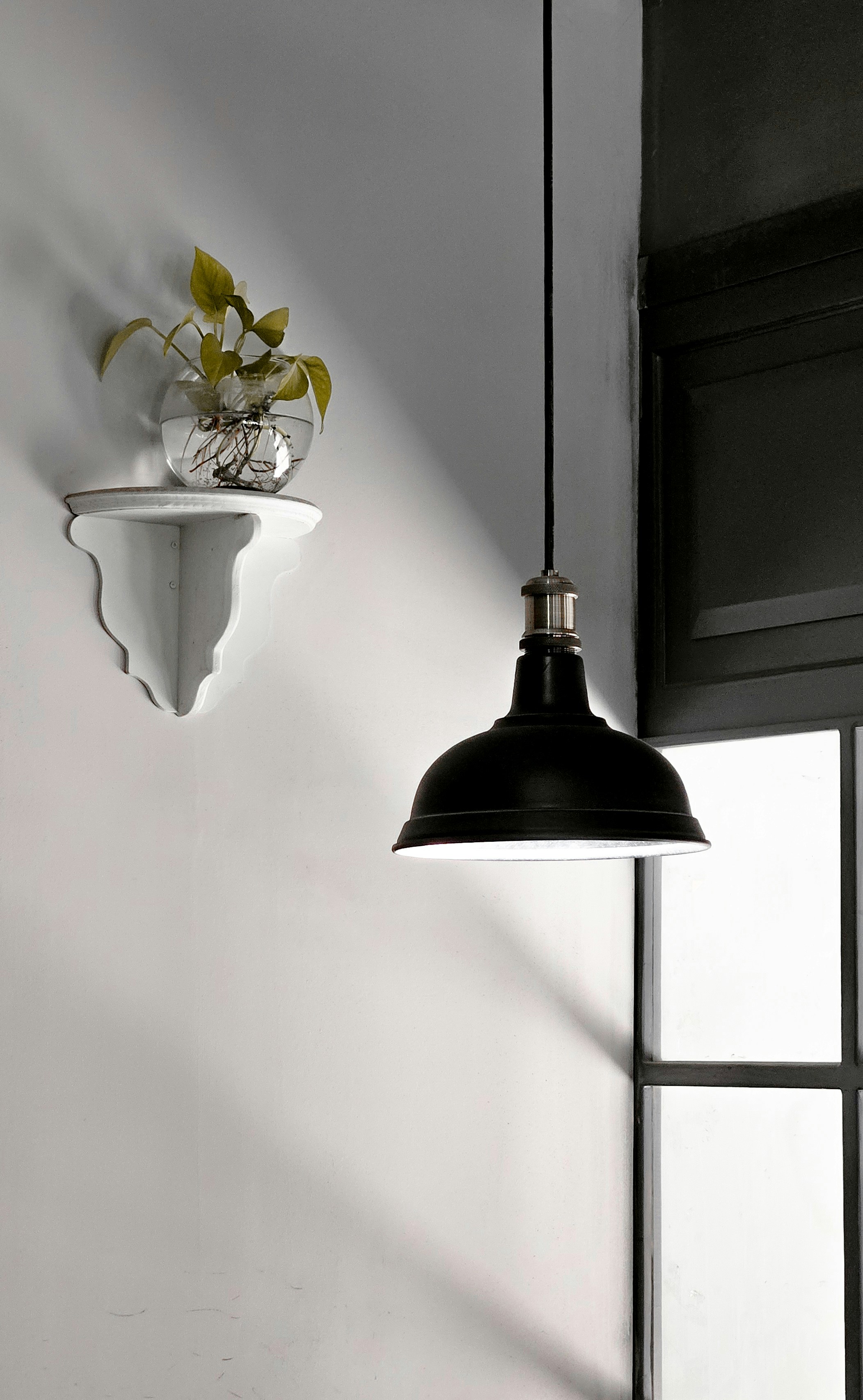 Photo by farzadmohamadi