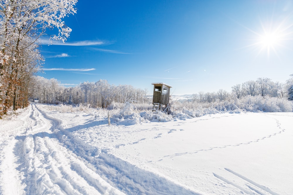 a snow covered field with trees and snow covered ground