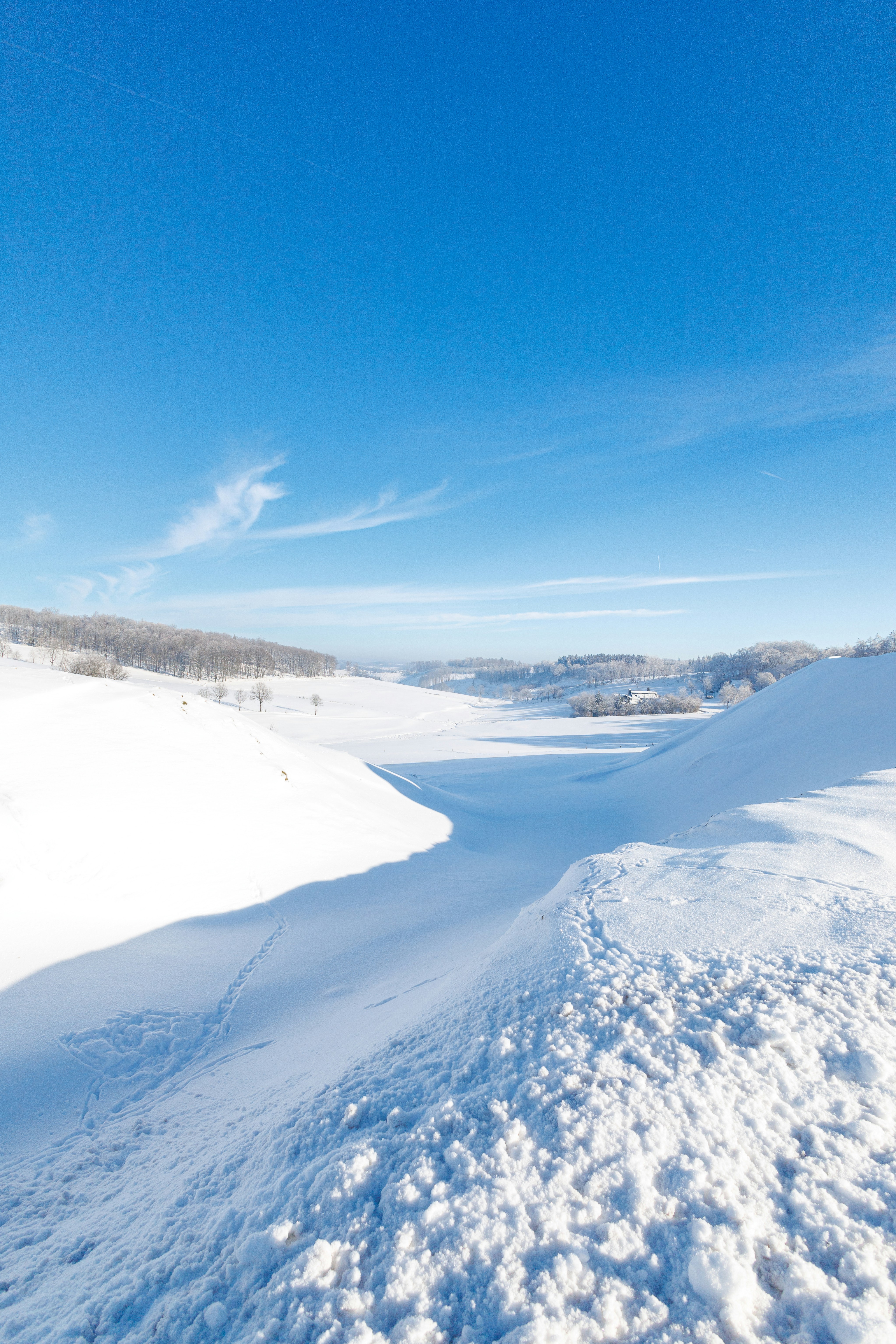 Photo by stockbirken