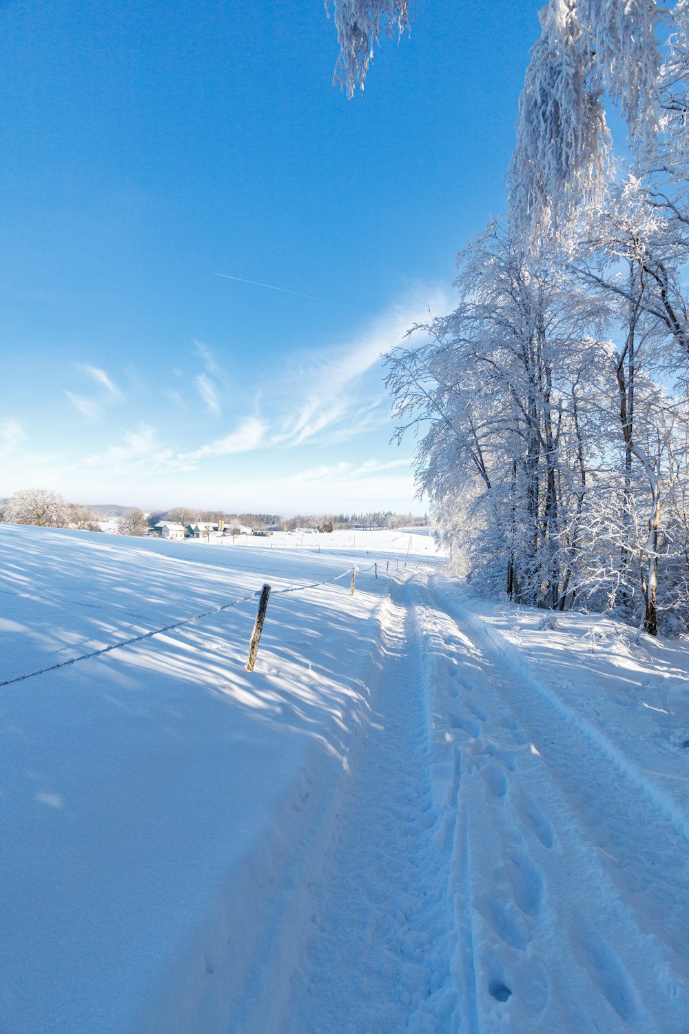 a person riding skis on a snowy surface