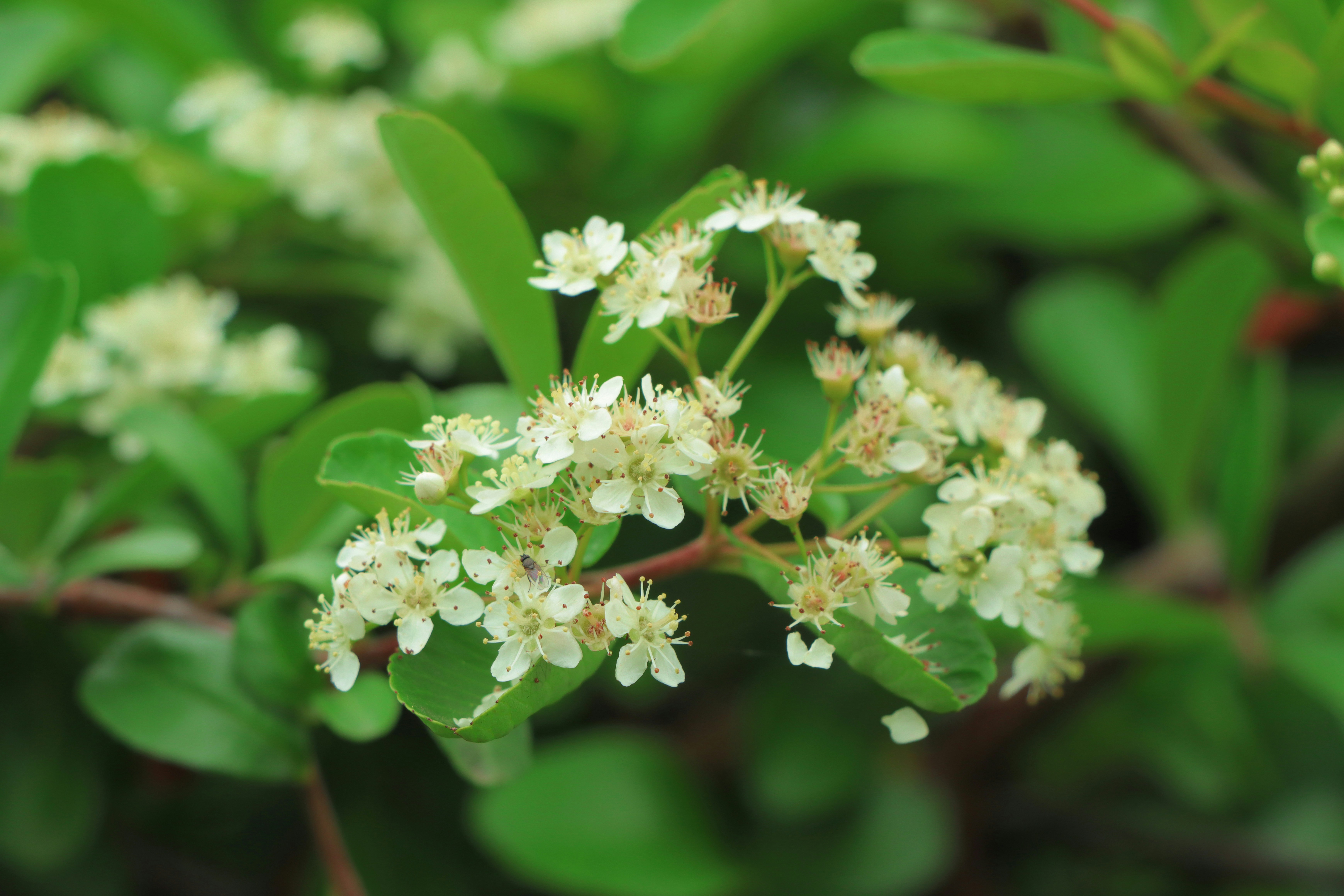 Photo by bita_eskandari