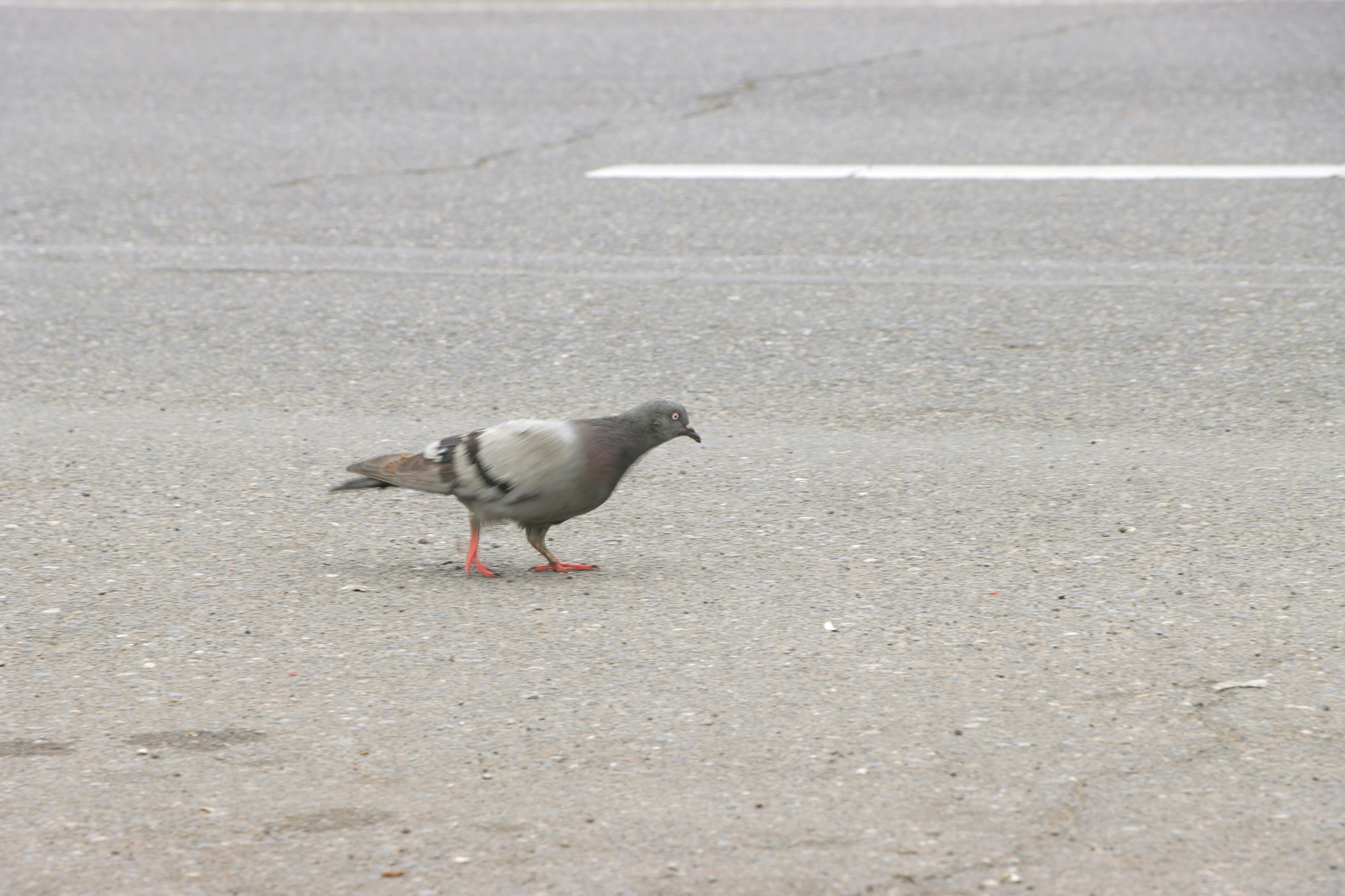 Photo by bita_eskandari