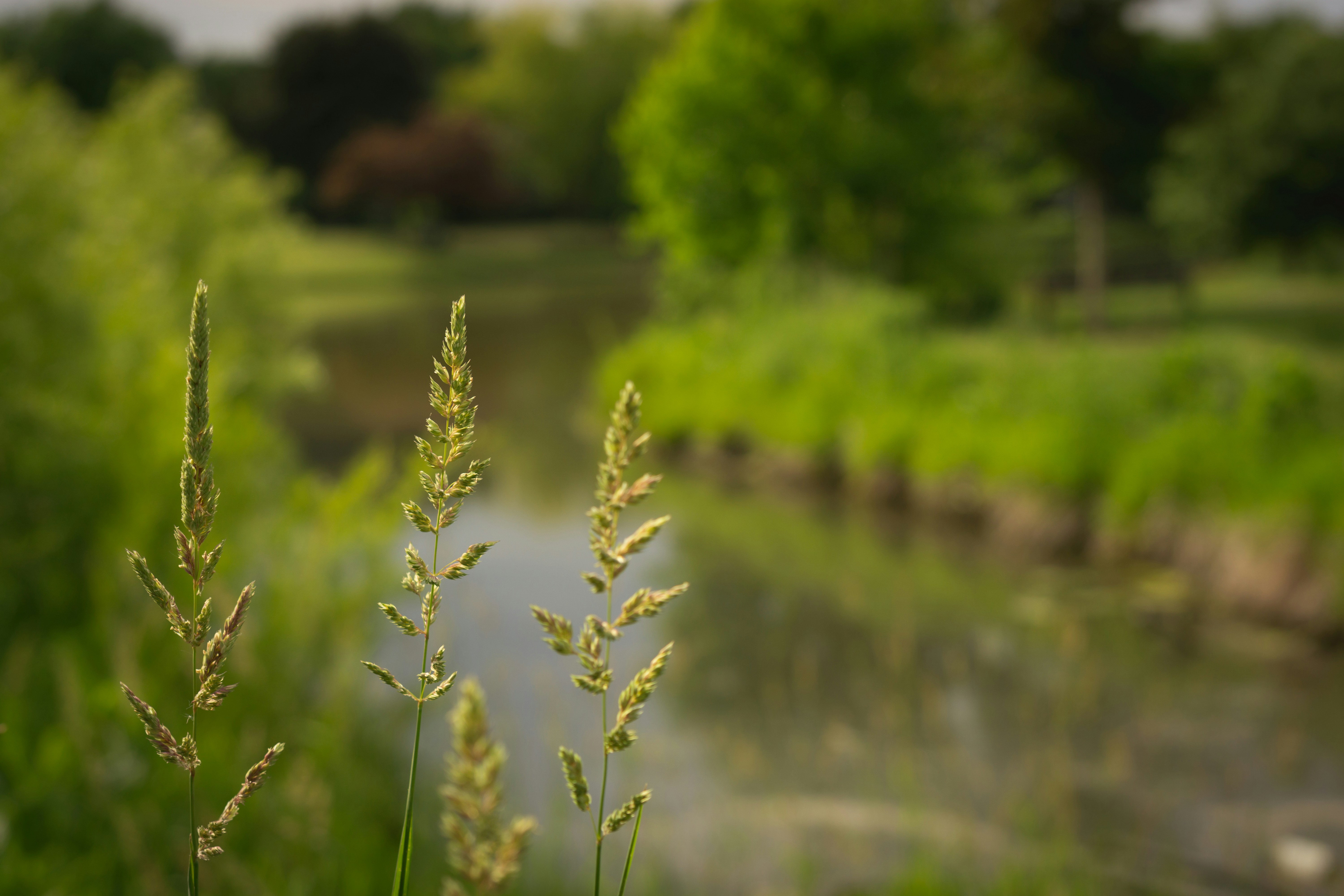 Photo by computergeek347