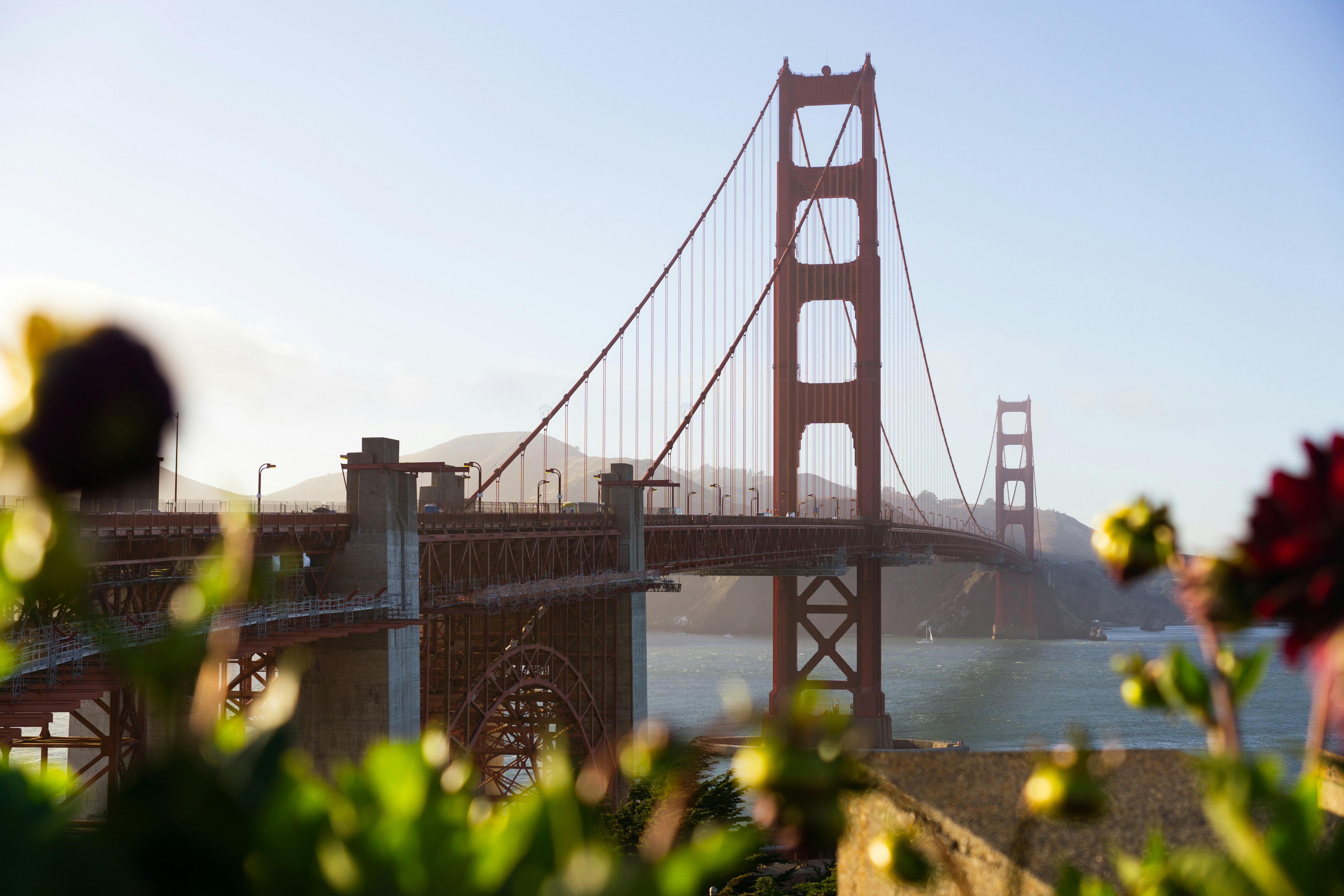 Photo by computergeek347