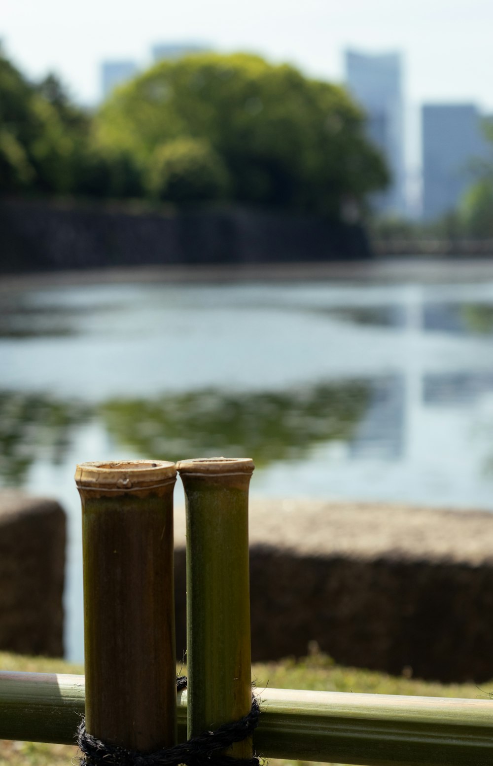 a couple of bamboo poles sitting on top of a grass covered field
