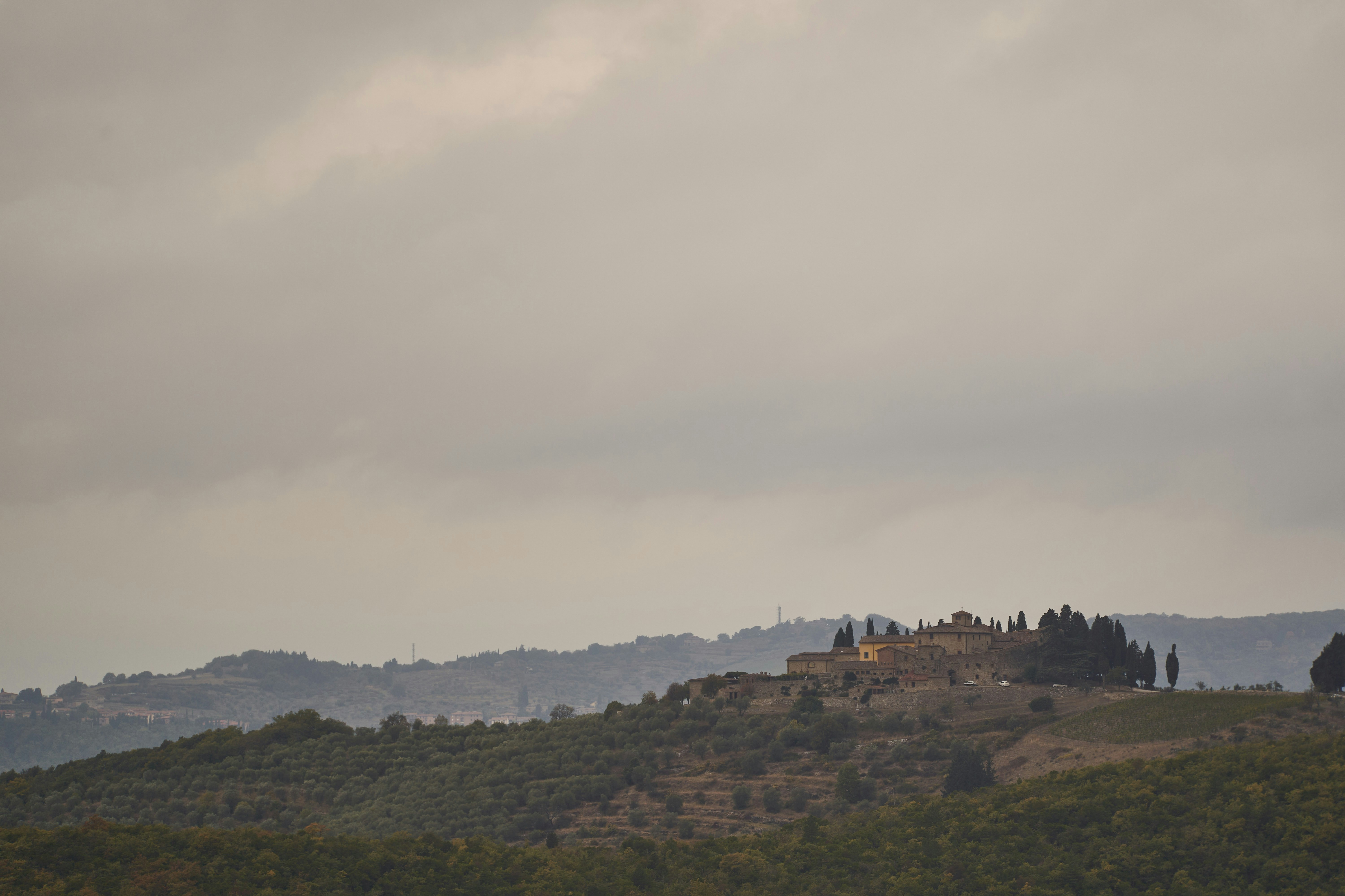 Photo by wolfgang_hasselmann