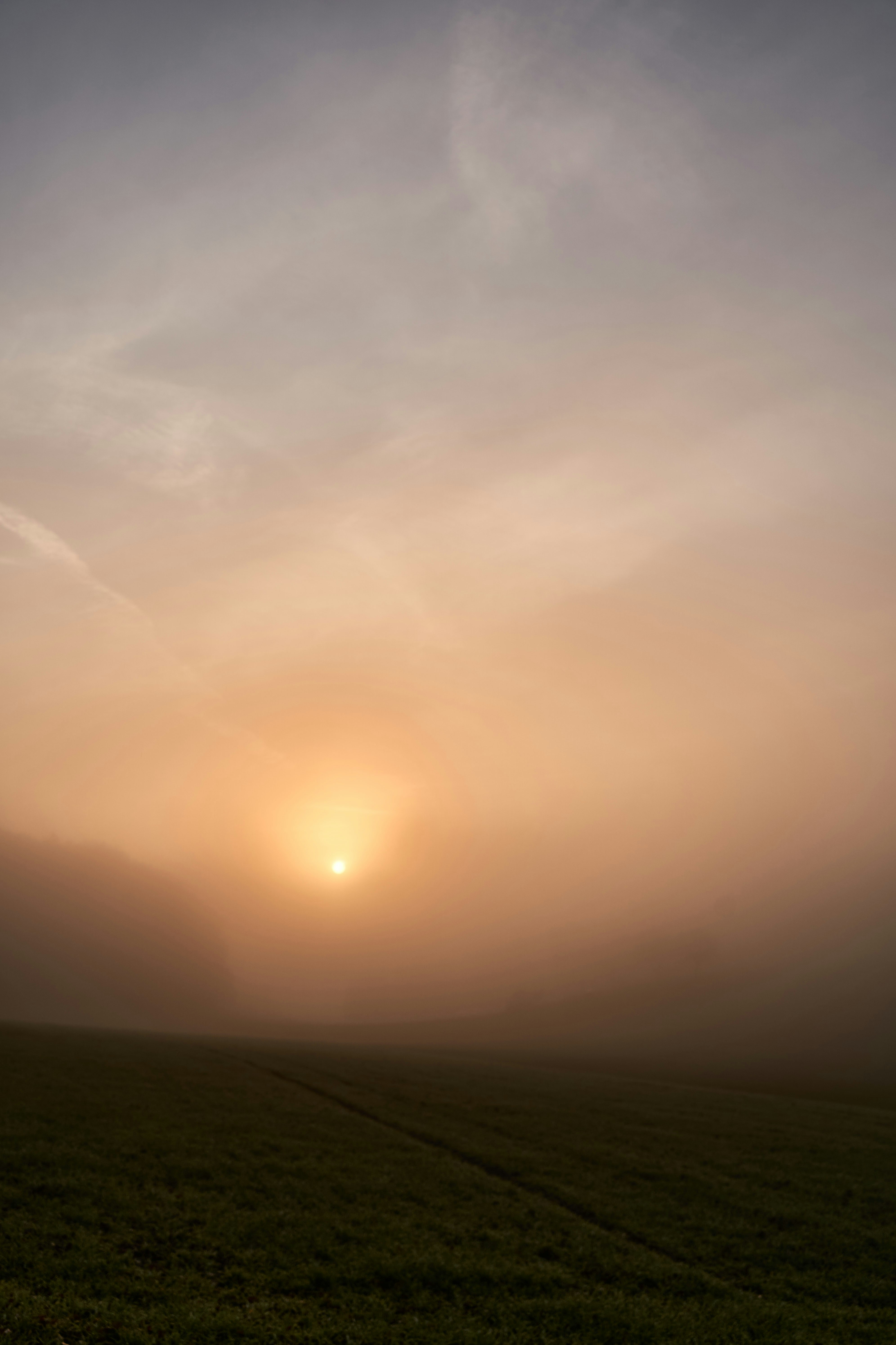 Photo by wolfgang_hasselmann