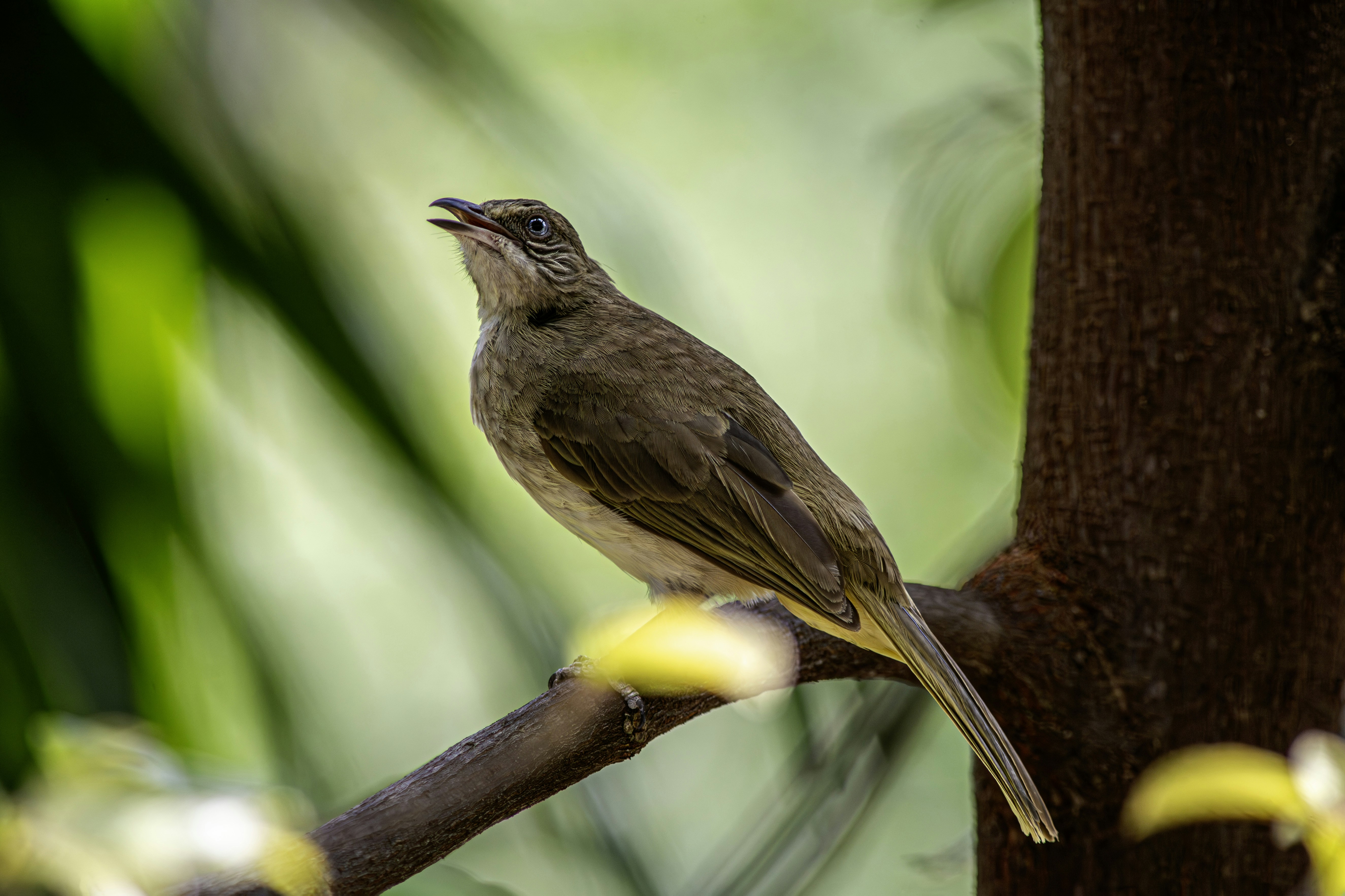 Photo by erik_karits