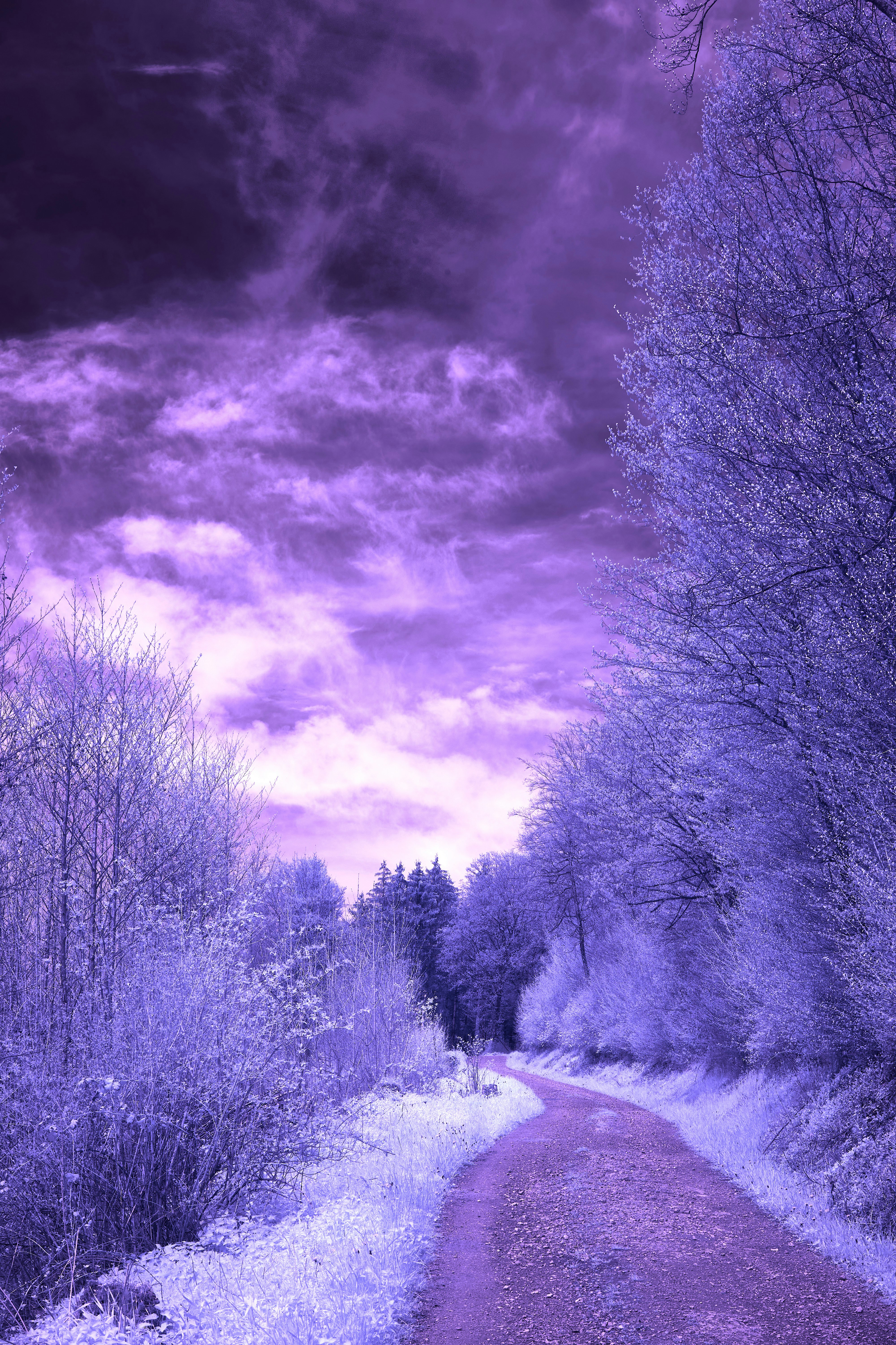 Photo by wolfgang_hasselmann