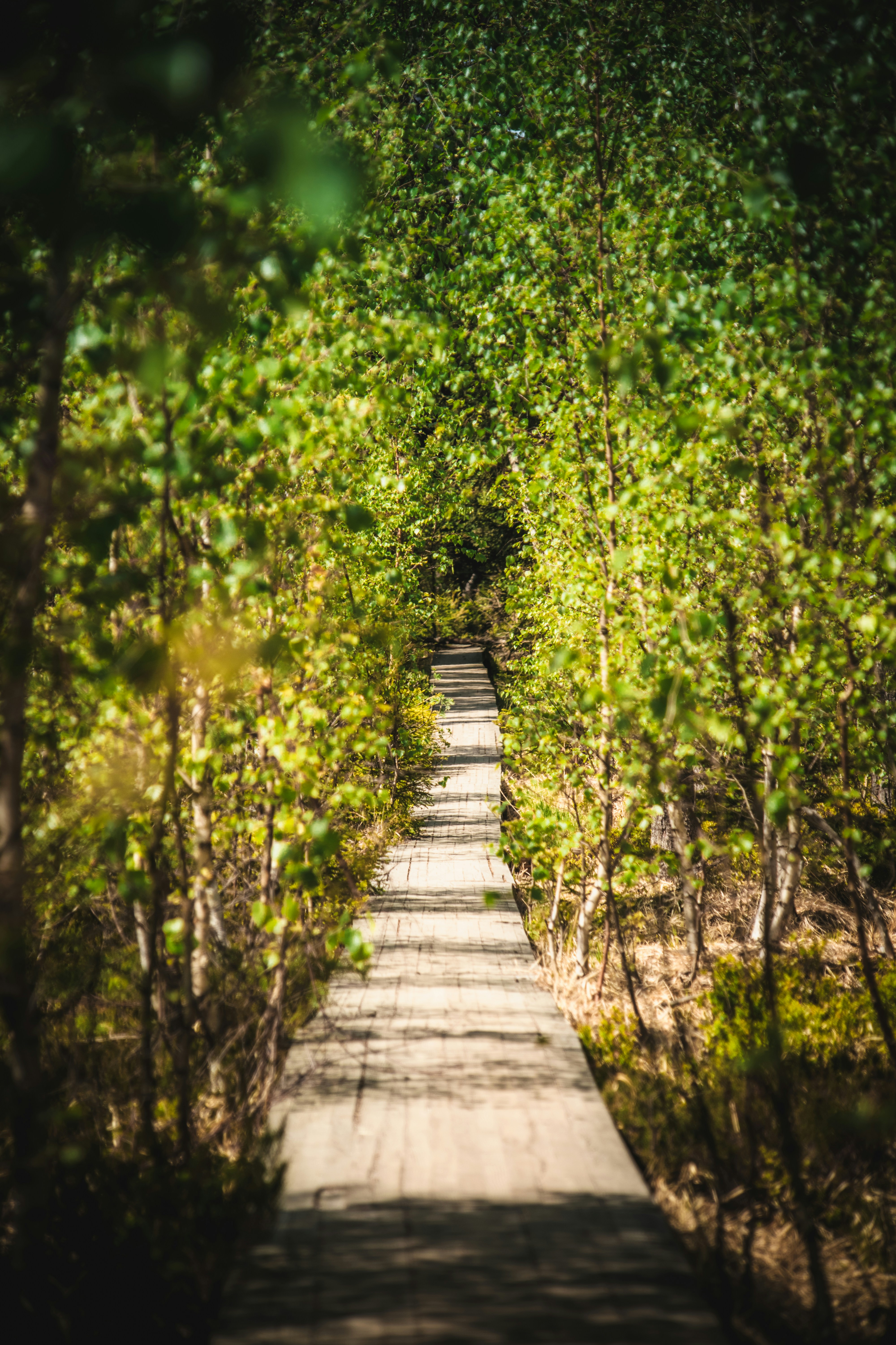 Photo by patrycja_chociej